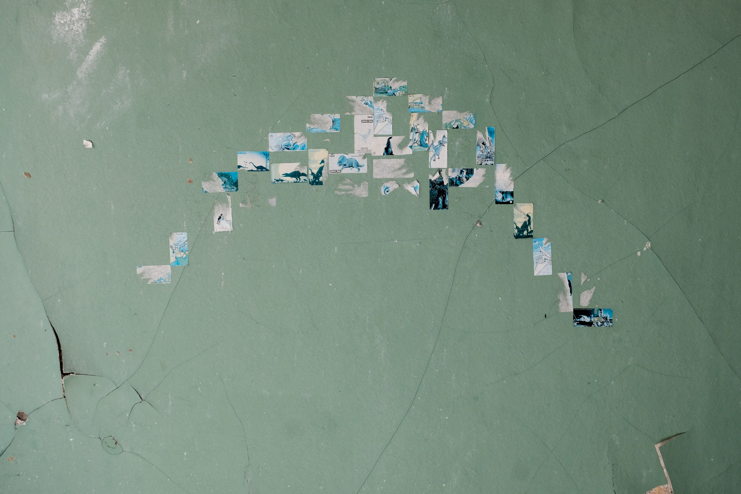 Пионерлагеря. Курочкина Софья