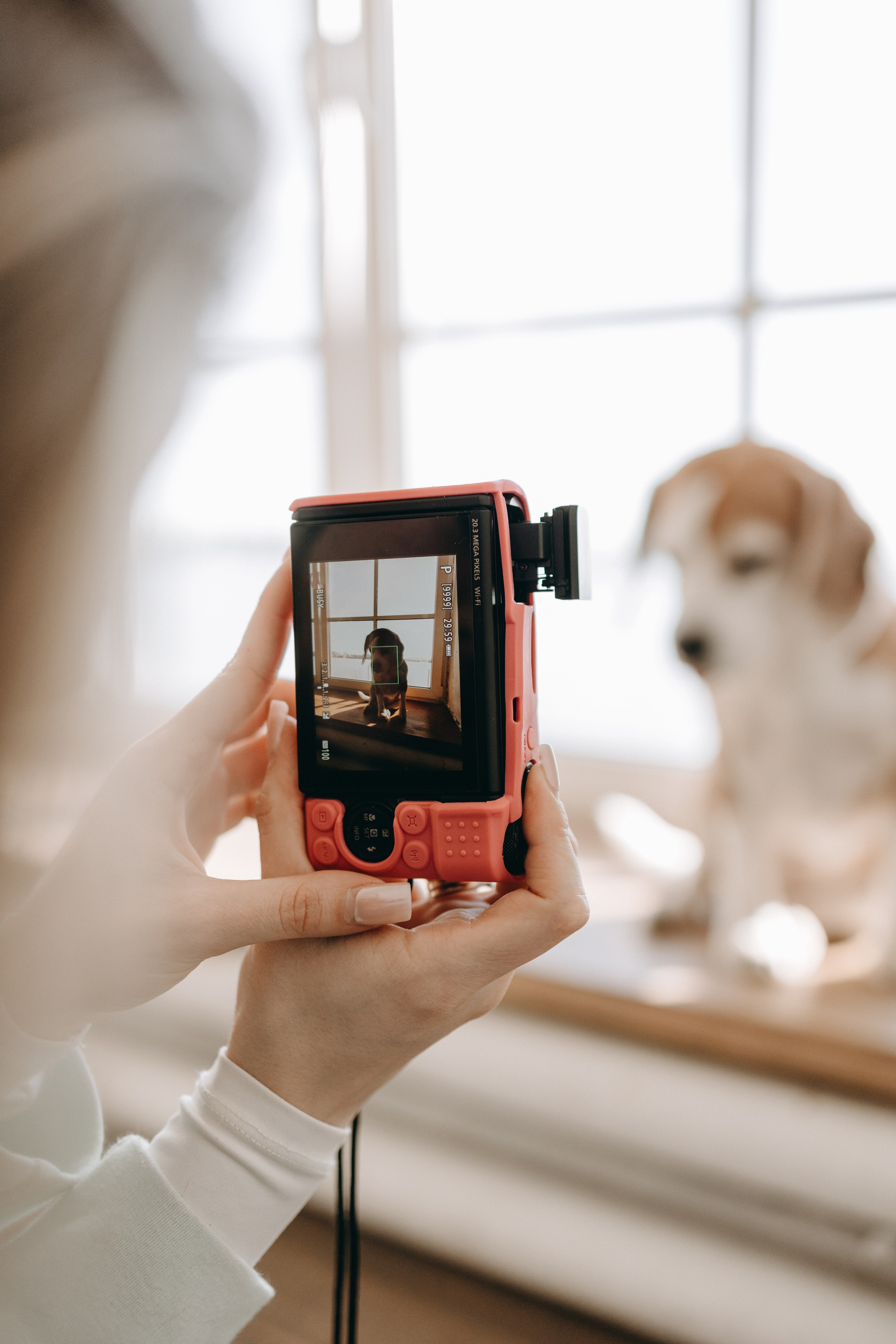 Даня и его семья. Фотограф — Анималист | Санкт-Петербург