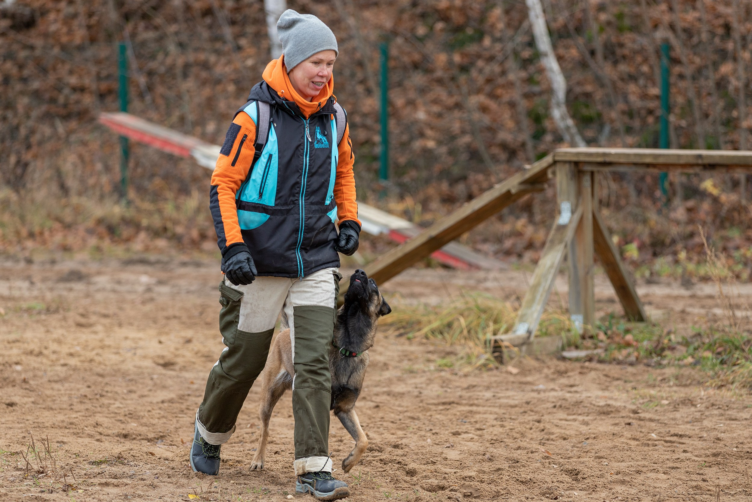 Вера и Чейз на экзамене ОКД. Фотограф-анималист в Калуге Мария Шерскова