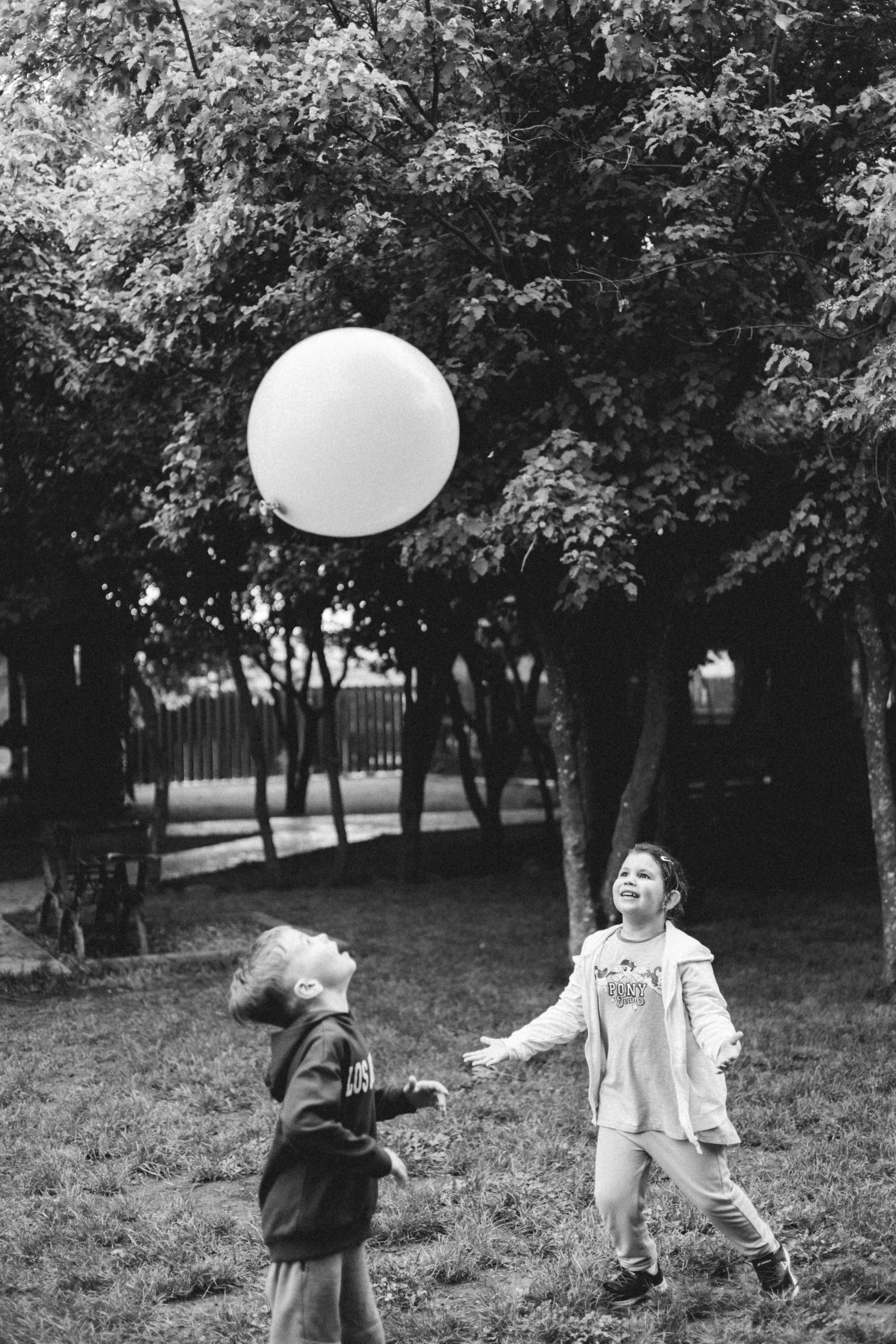 Gender Reval Party. Фотограф из Краснодара Мария Приходько