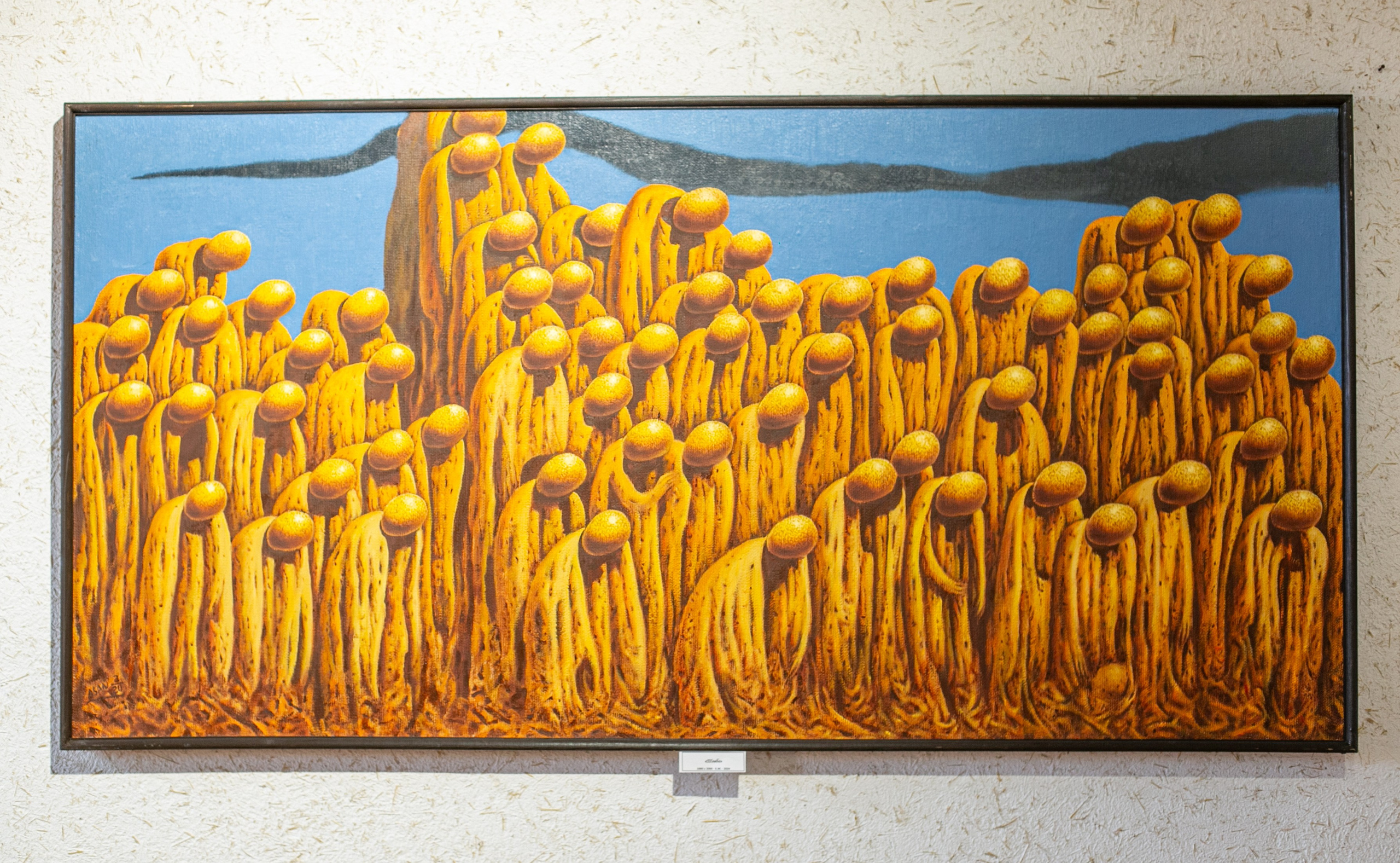 Asan Barash. Beye Shevkiyeva Photography