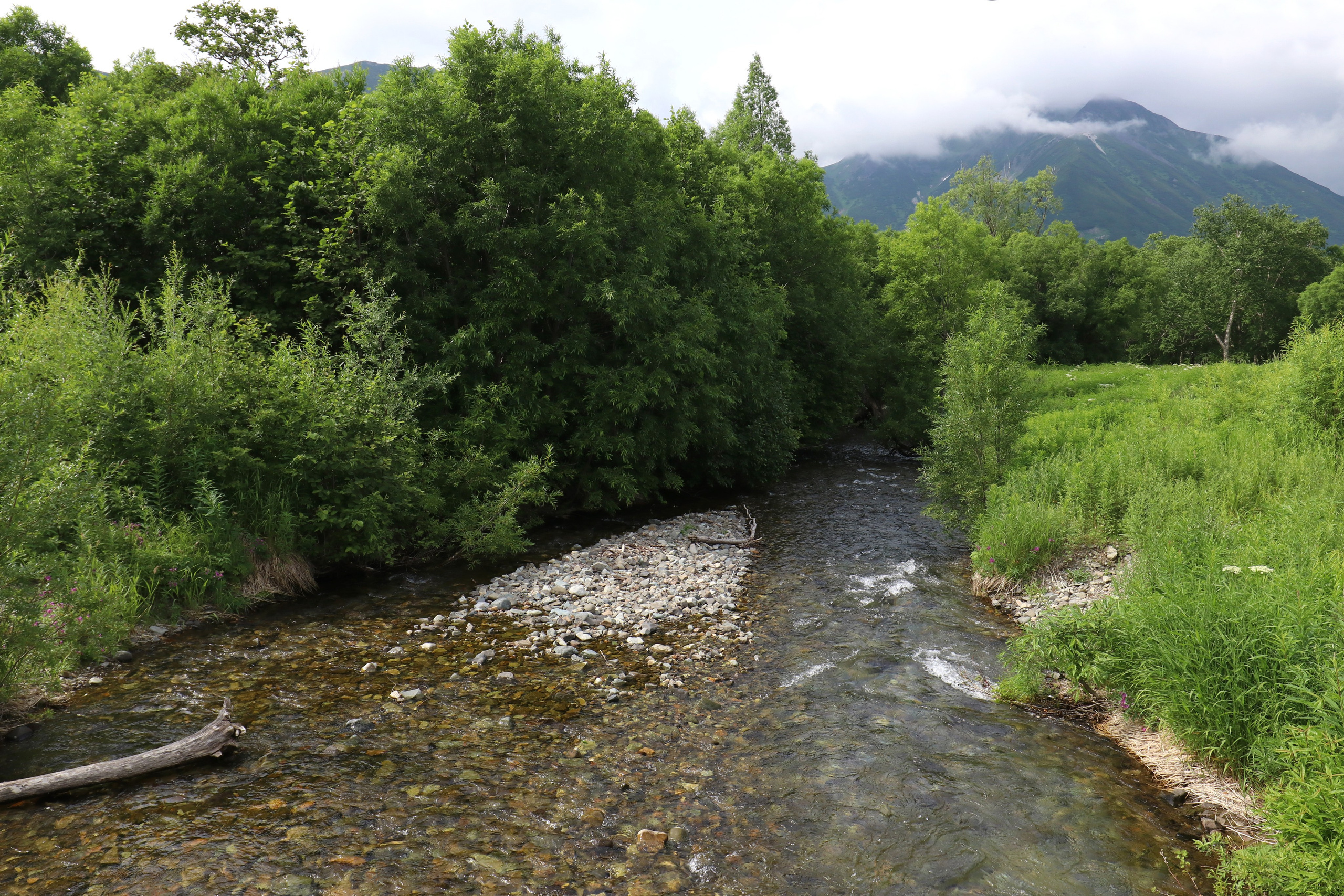 Камчатка и о. Парамушир. Июль 2024. Путешественник-фотограф из Санкт-Петербурга Татьяна Свистулина