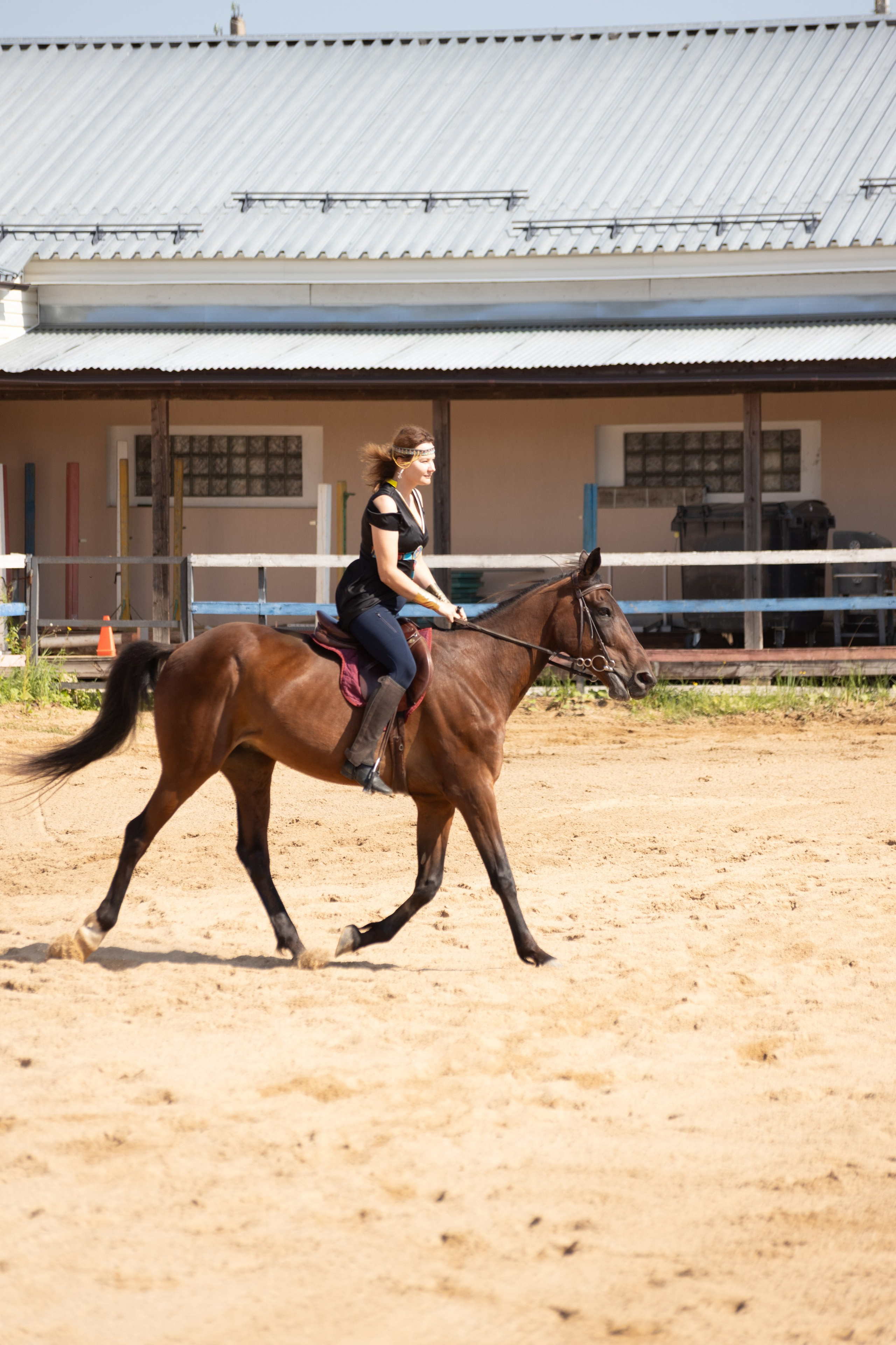 Конюшня. Фотограф в Москве и Истре