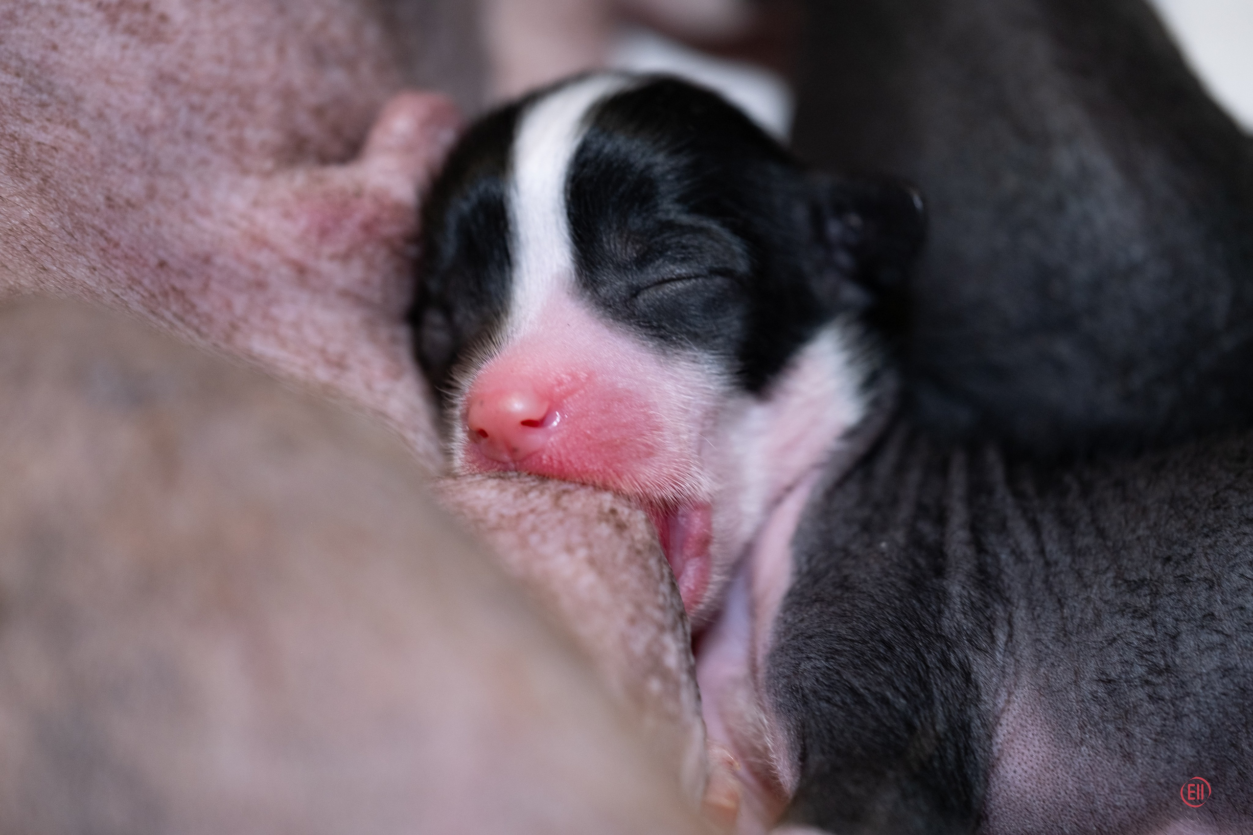 4-й день. Poale Ell Dasha