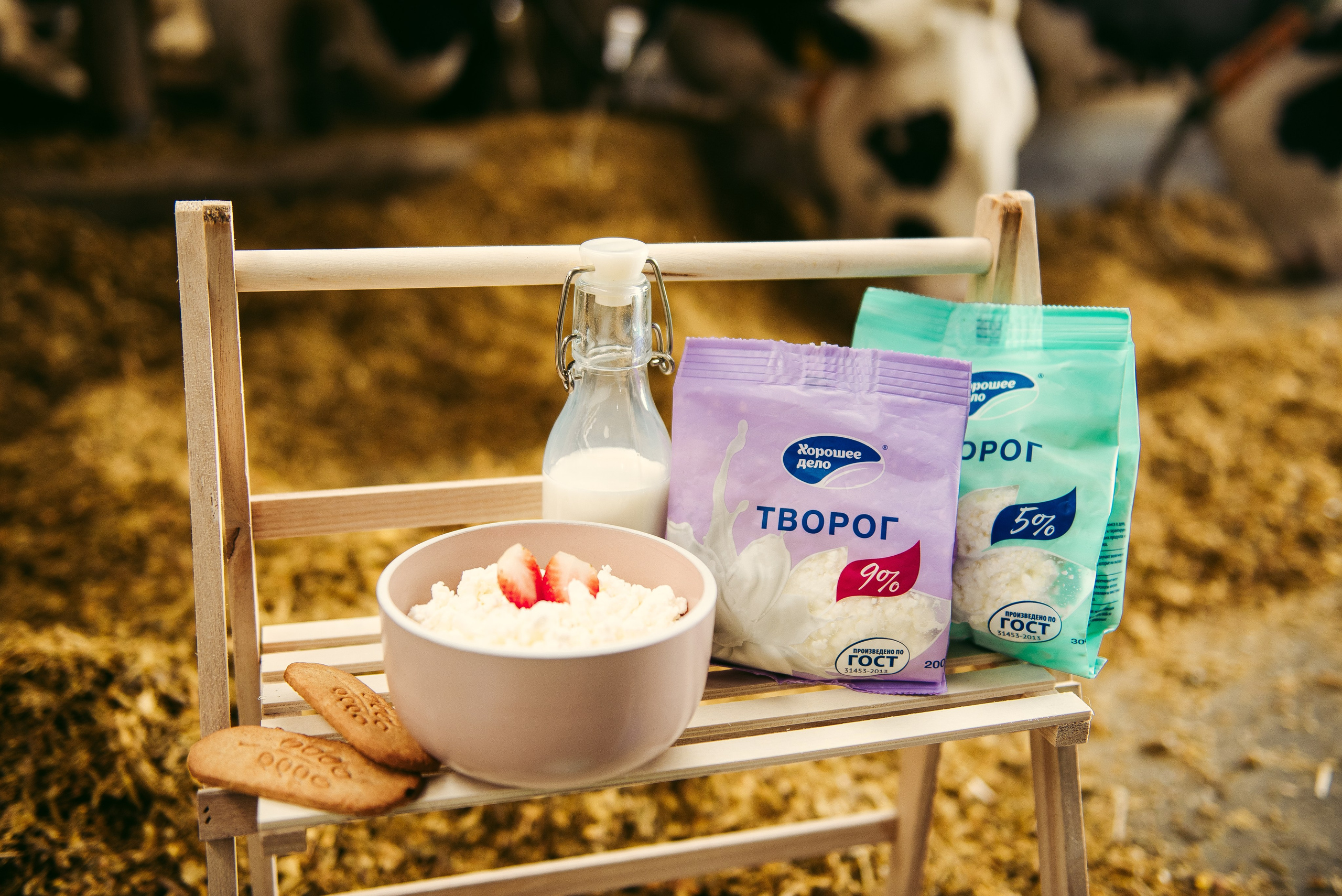 Хорошее дело I Дубенки. Фотограф в Республике Мордовия София Сержантова