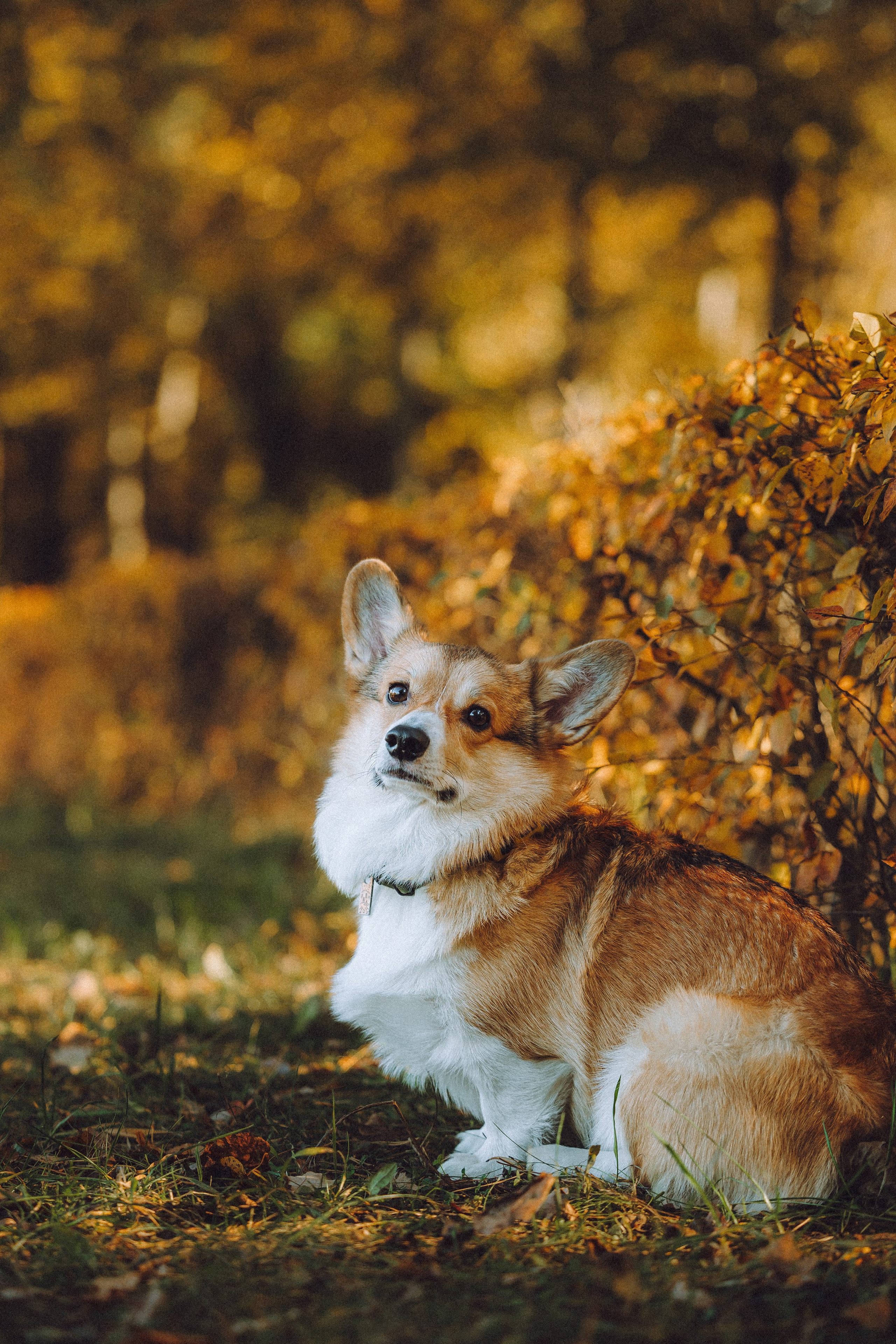 Карина, Даня и Аркаша