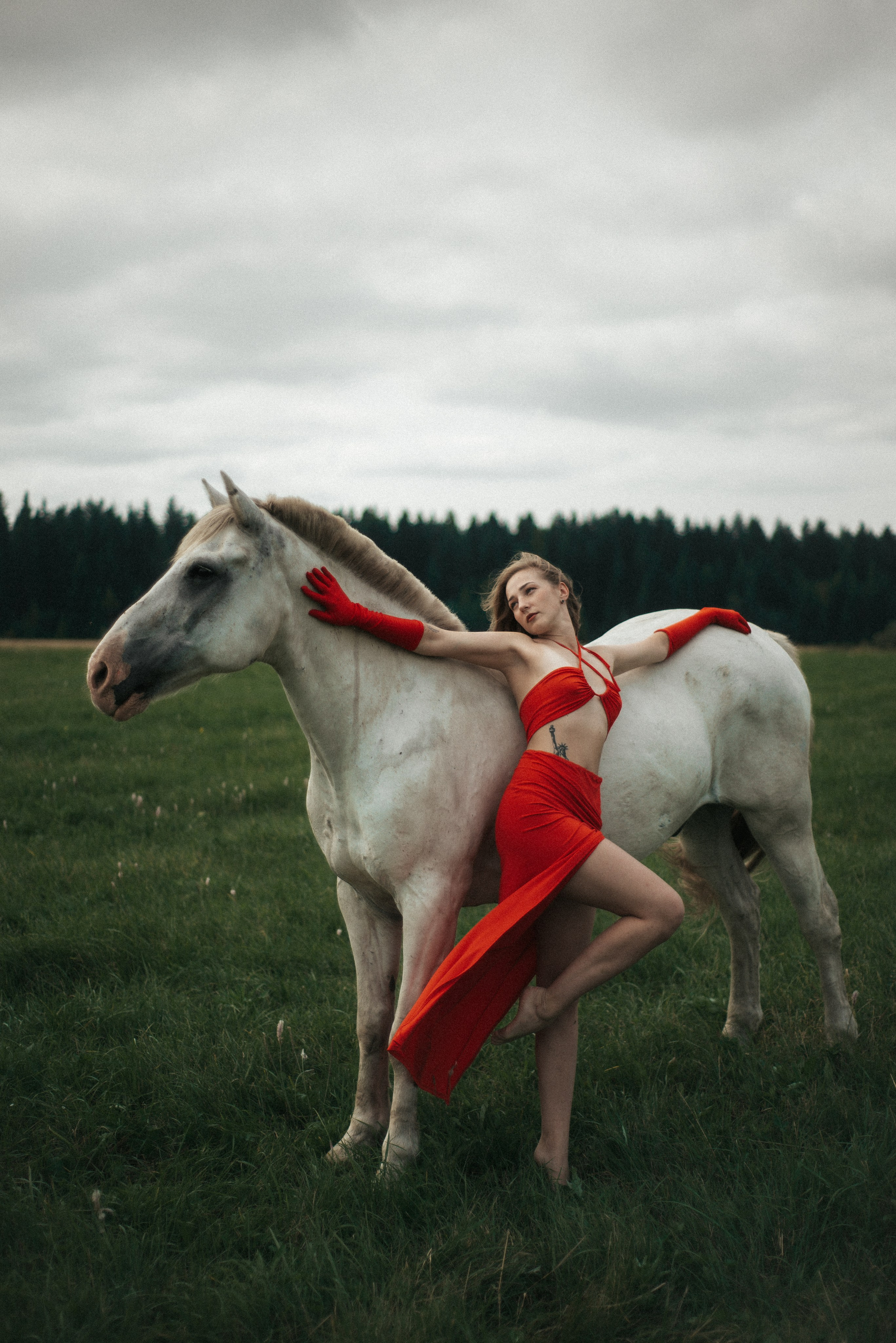 Horse. Фотограф