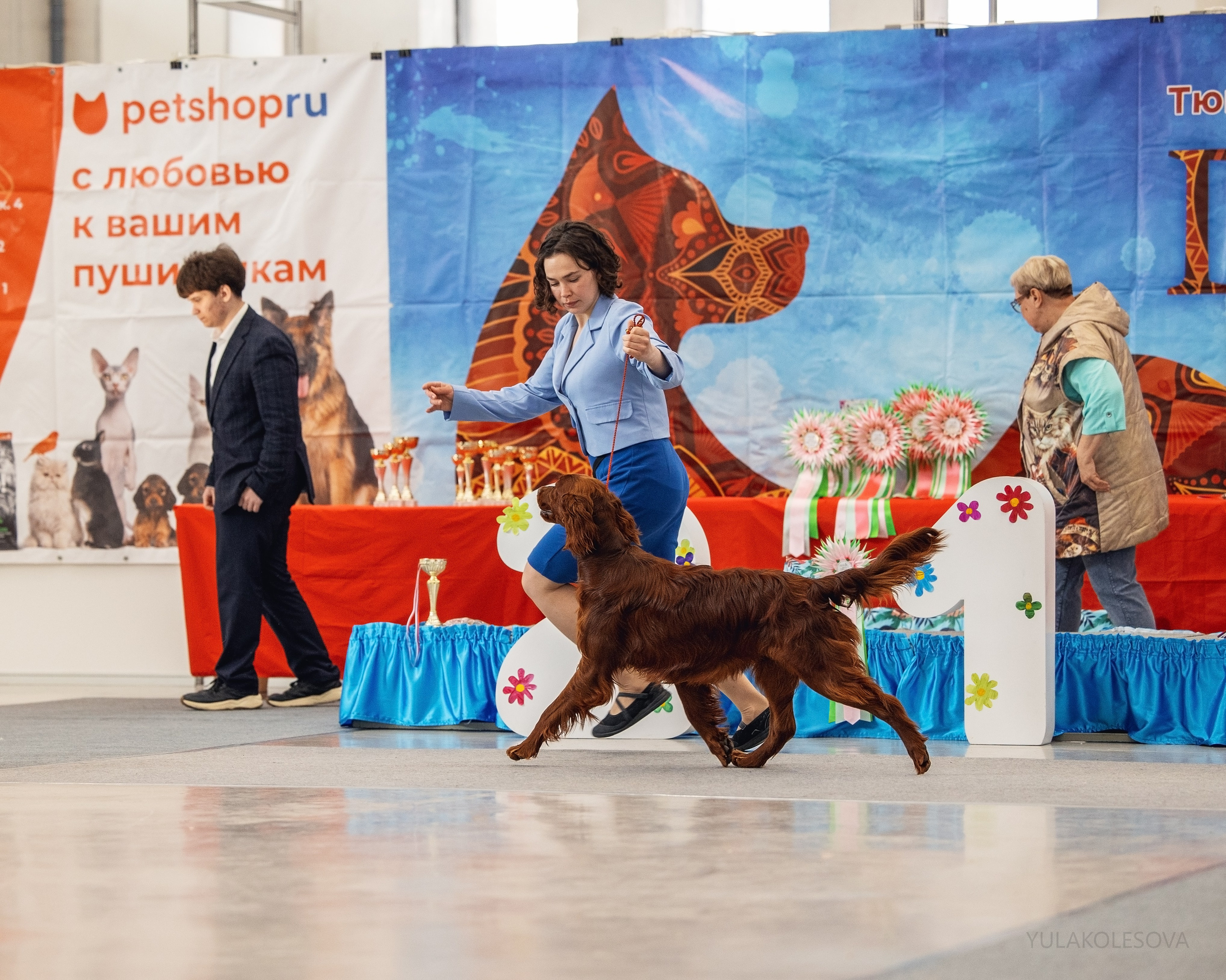 5.05.2024. YULA KOLESOVA | Фотограф — Анималист | Художник | Тюмень