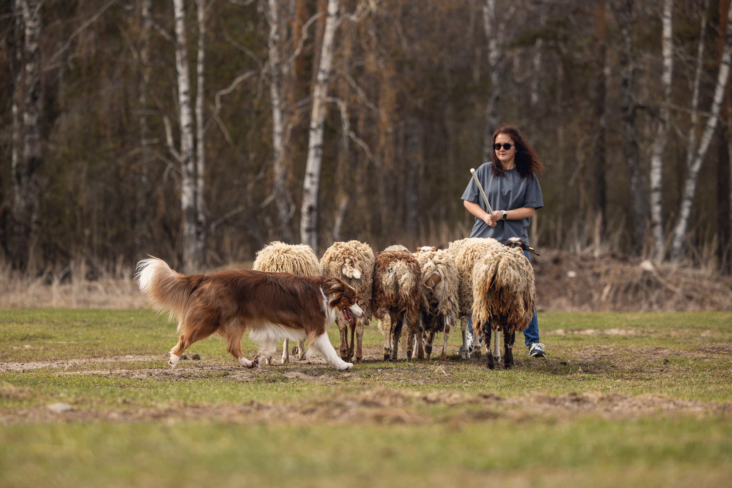 Анна и Вуди. YULA KOLESOVA | Фотограф — Анималист | Художник | Тюмень