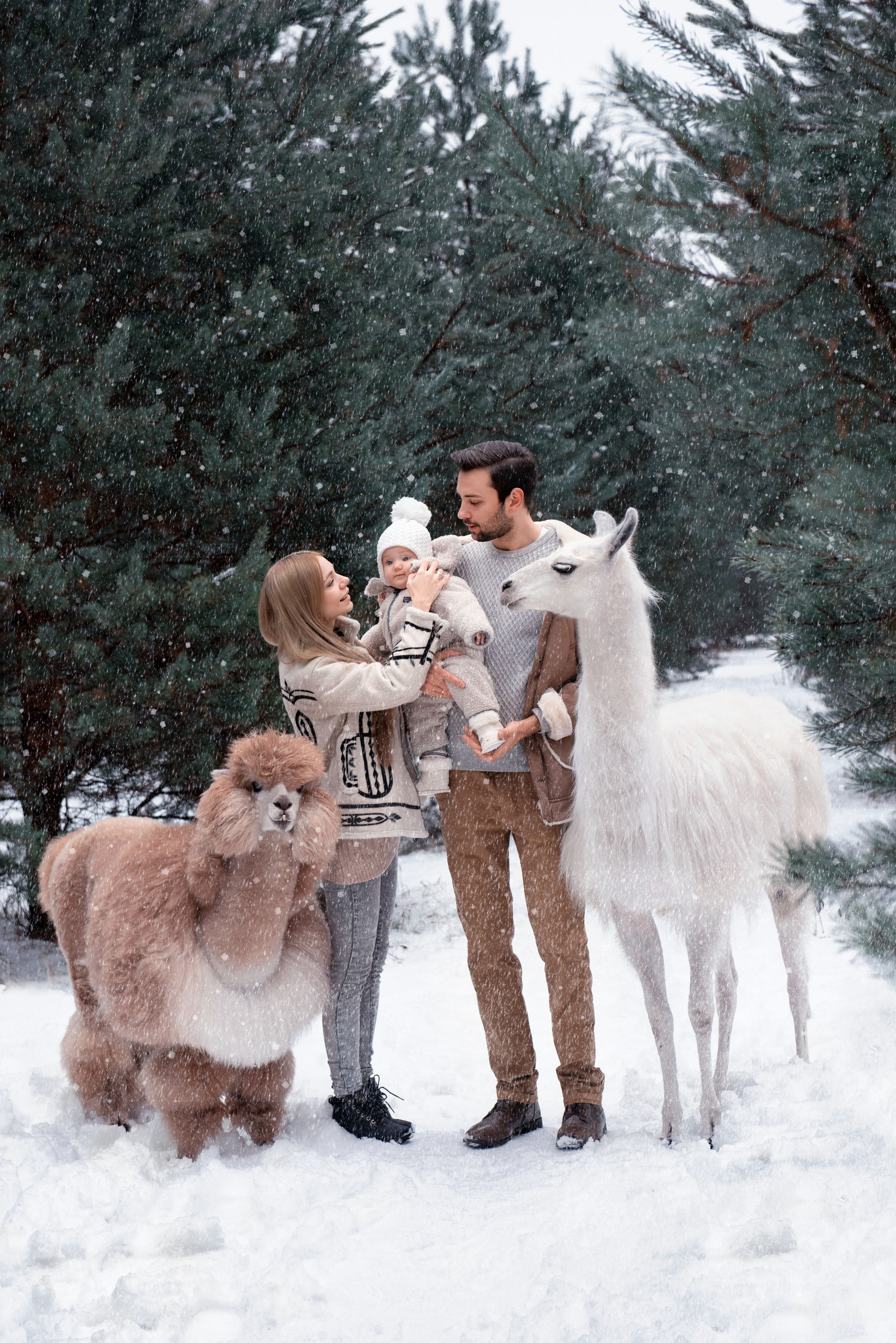 Family. Свадебный фотограф в Москве Татьяна Вакулина