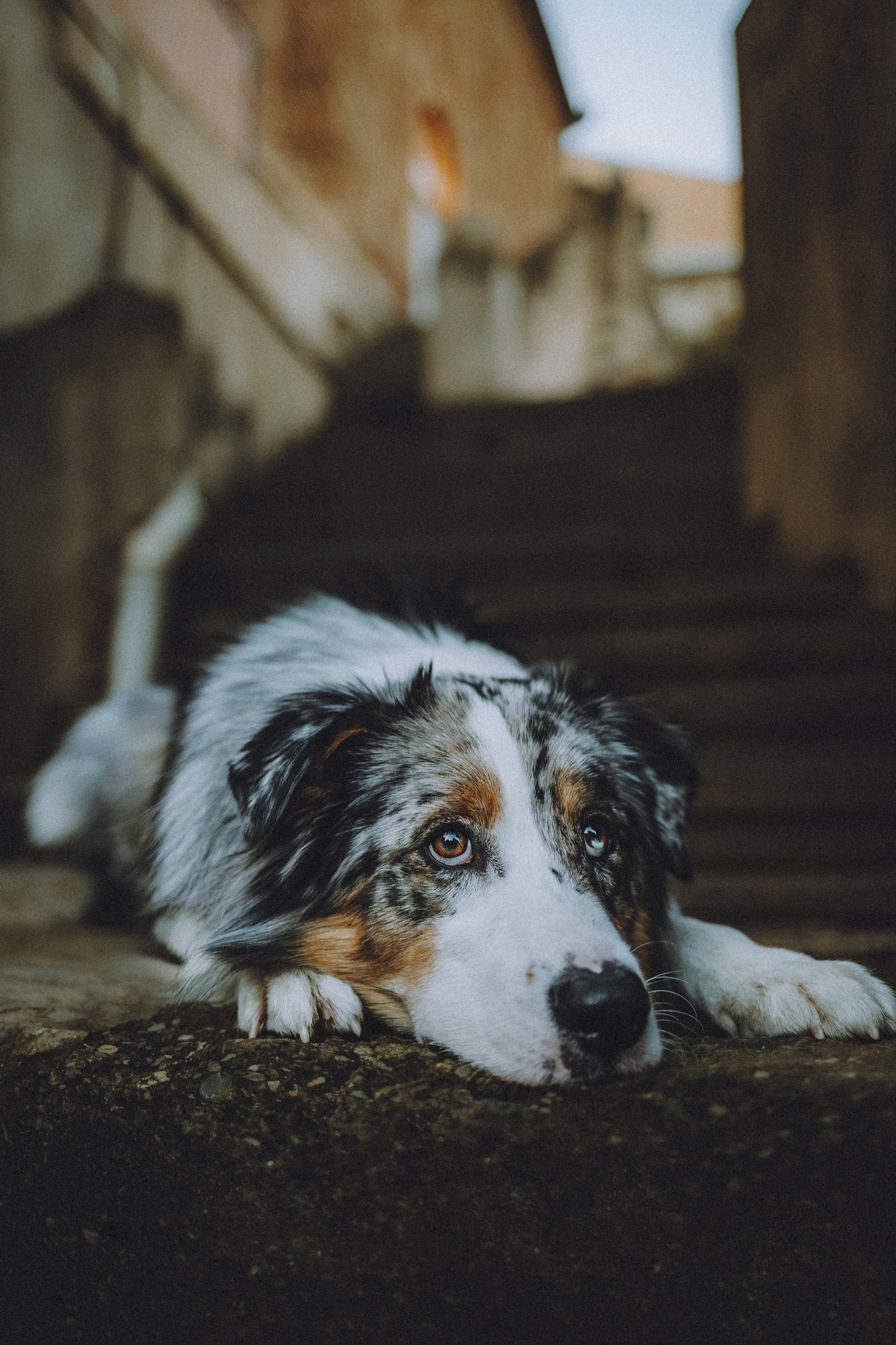 Саша, Рома и Один