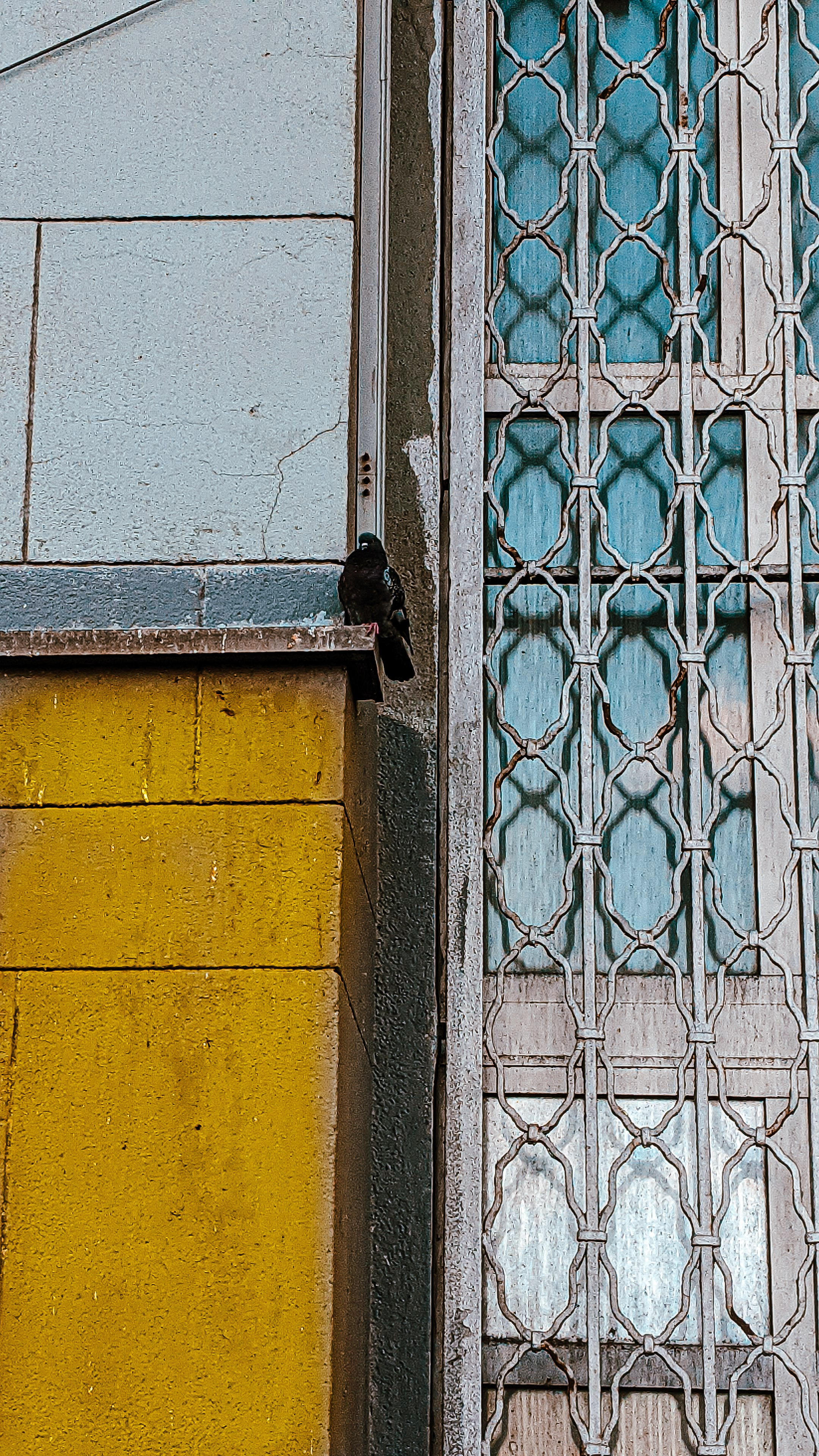 Мобильная фотография. Интерьерный и портретный фотограф в Москве Анна Моногарова