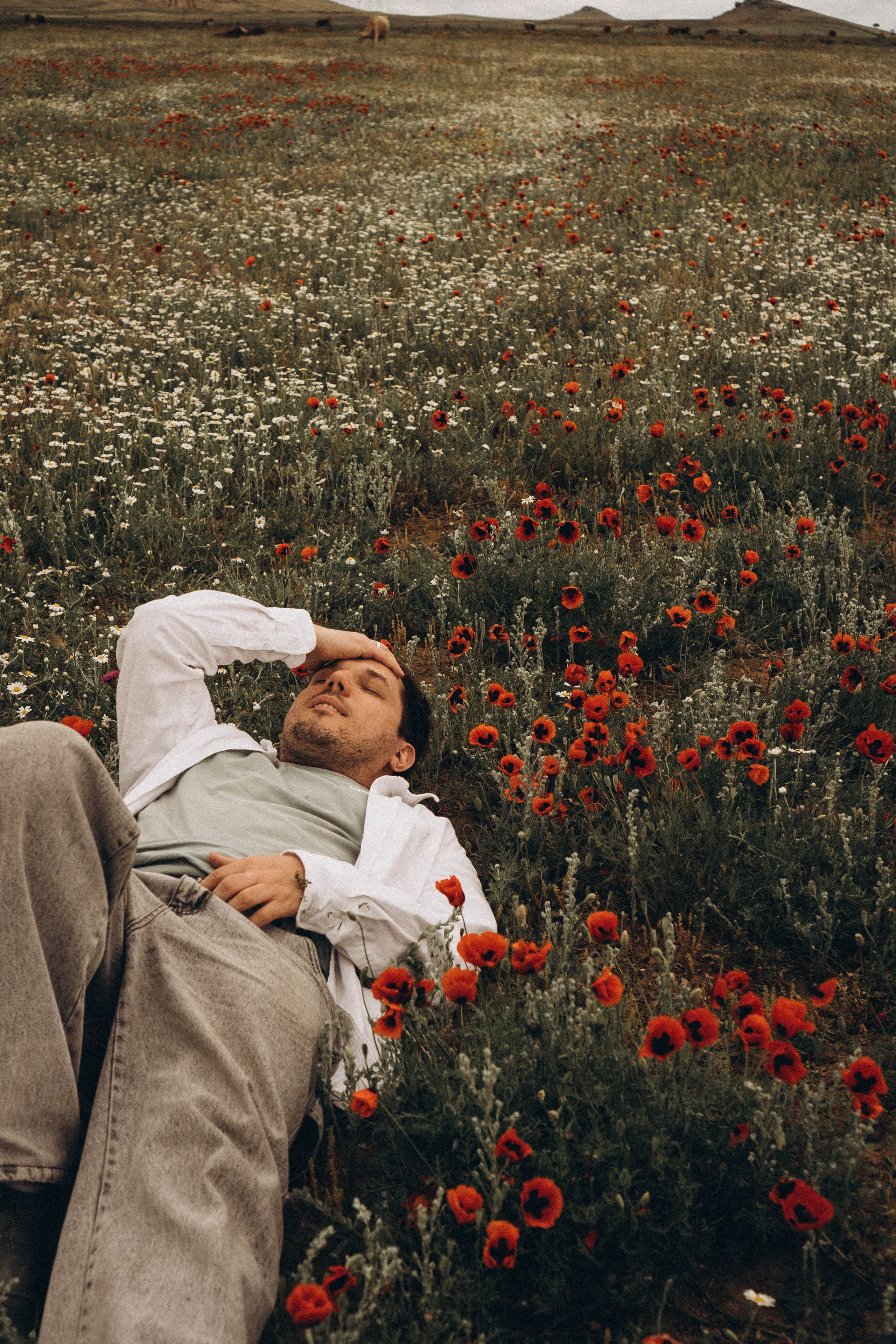 Маки. Профессиональный фотограф, Санкт-Петербург — Виктория Богомолова