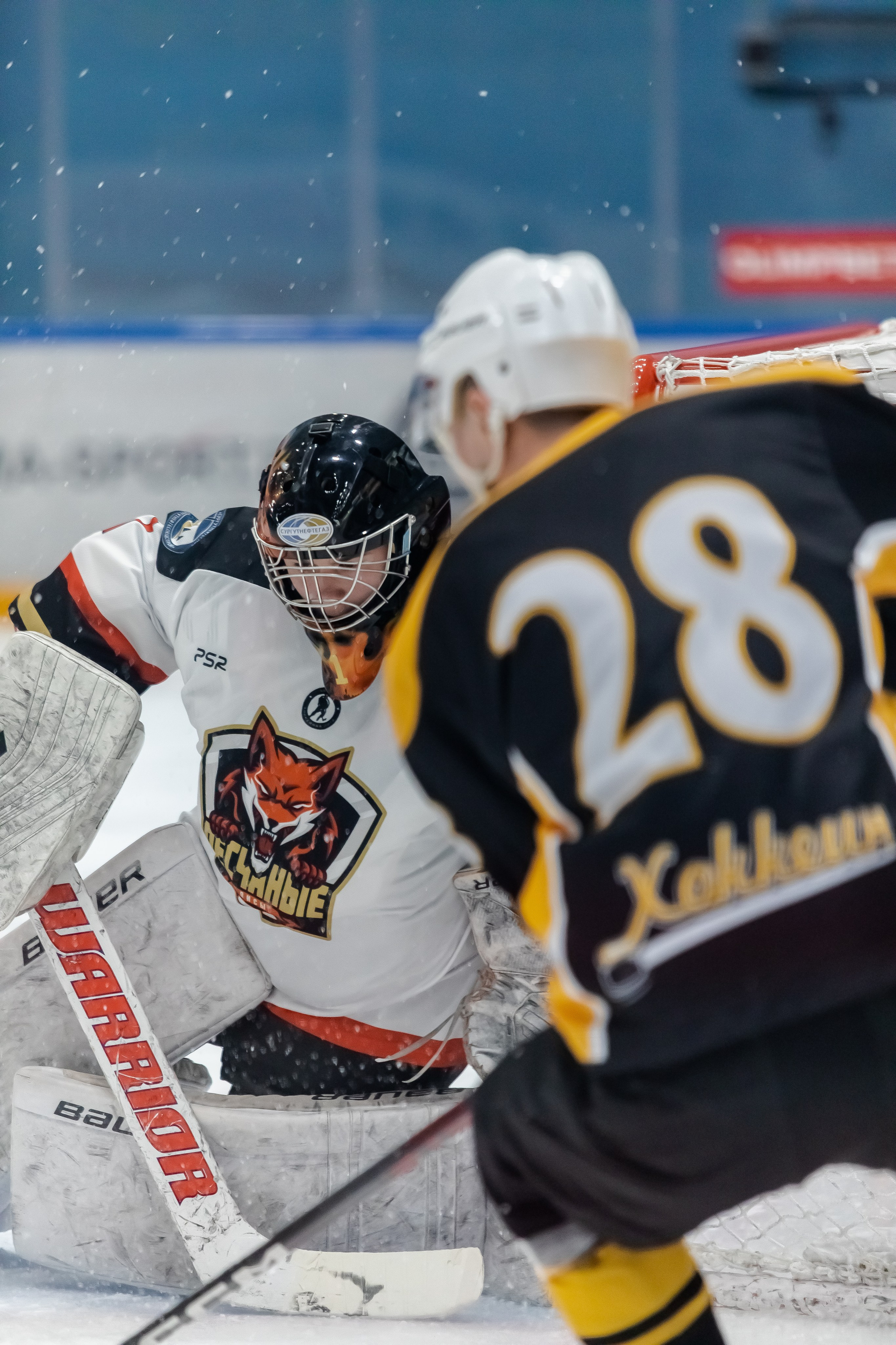 Хоккей. Фотограф Тимербаева Алина г. Сургут