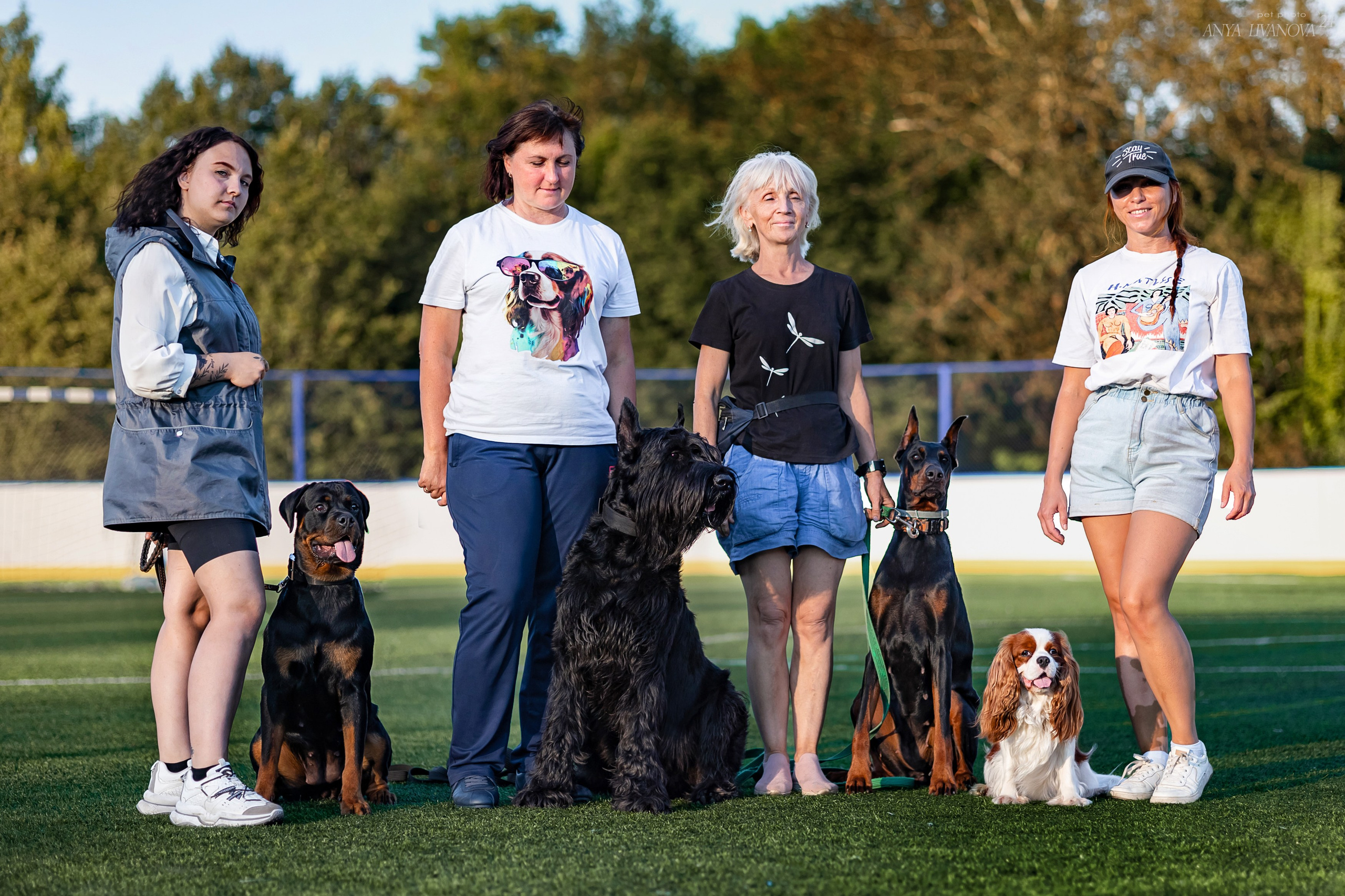 Ралли обидиенс. Фотограф анималист Аня Ливанова | Рыбинск