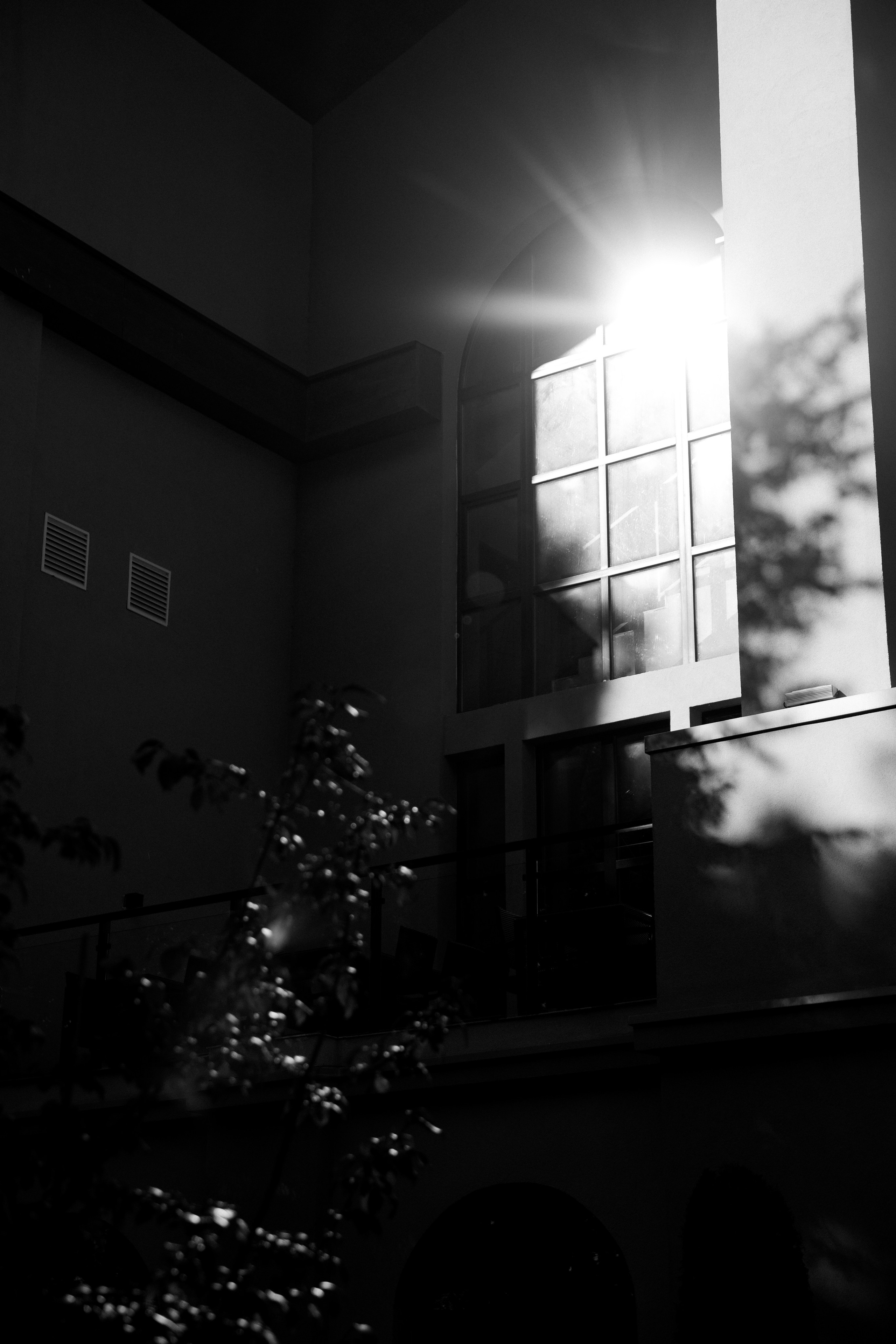 Антонина & Ярослав