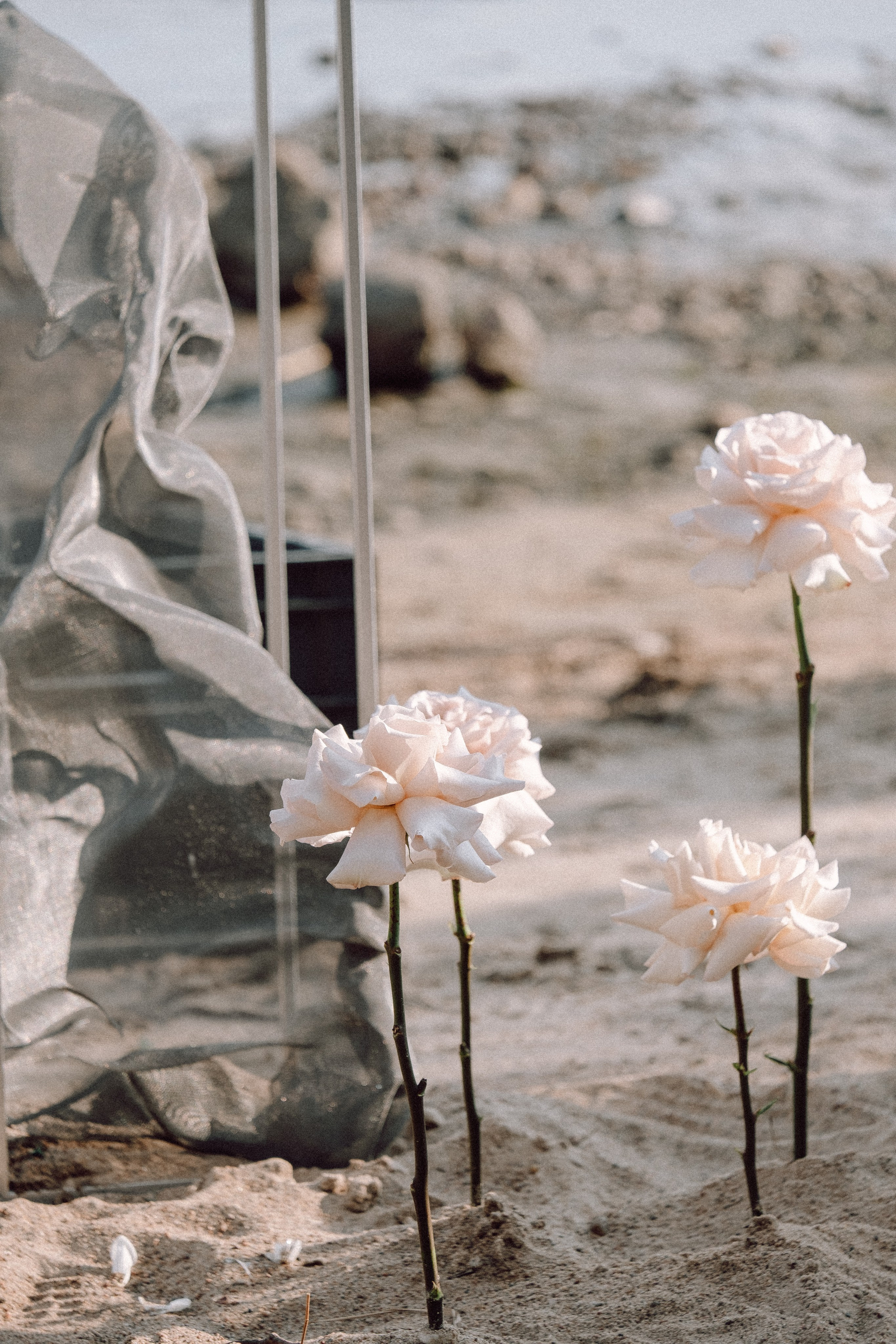 СВАДЕБНАЯ ФОТОСЕССИЯ ВЫЕЗДНОЙ ЦЕРЕМОНИИ (ФИНСКИЙ ЗАЛИВ). Профессиональный фотограф, Санкт-Петербург — Виктория Богомолова