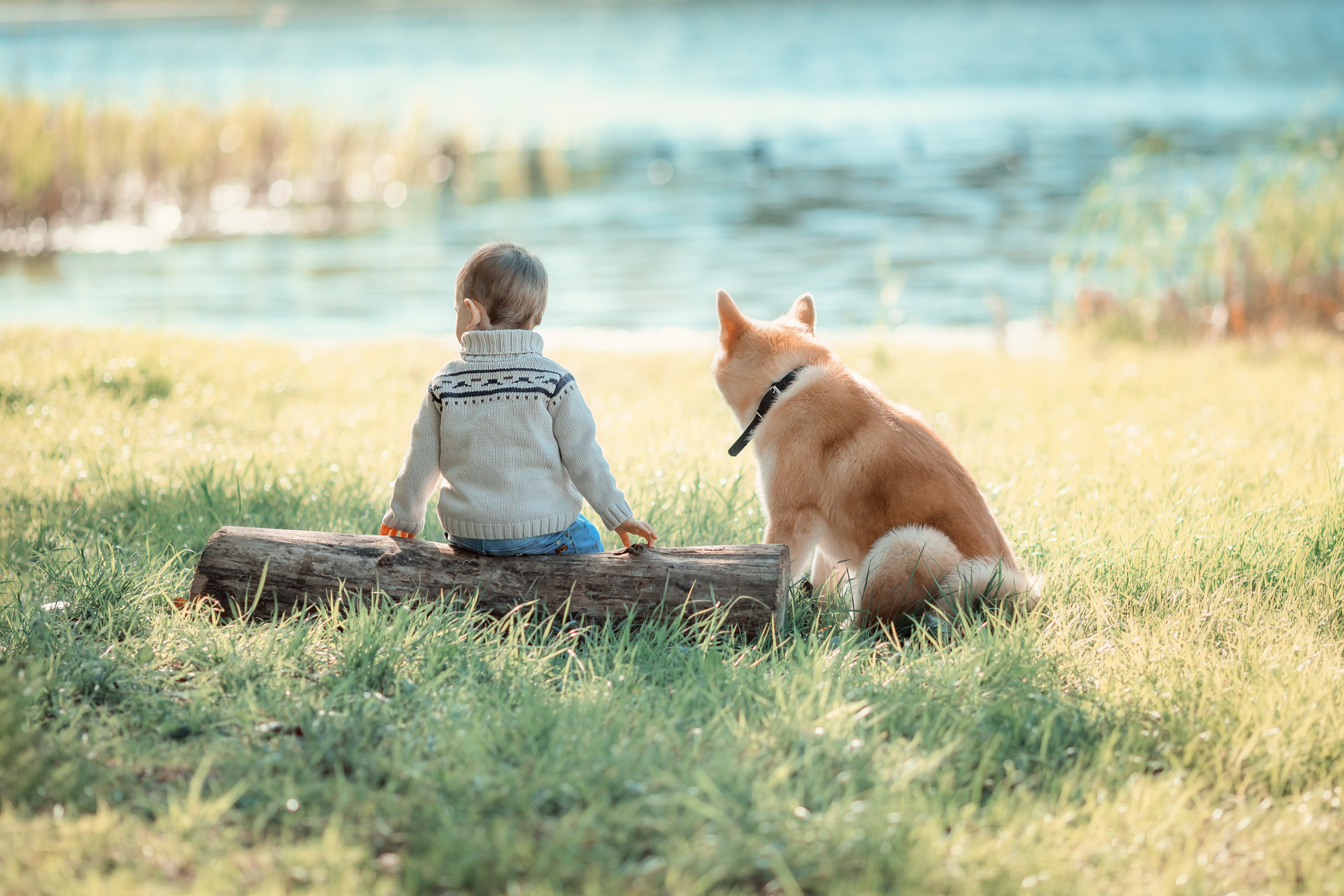 Детская фотосъемка в Нижнем новгороде. Arma Gray — Нижний Новгород