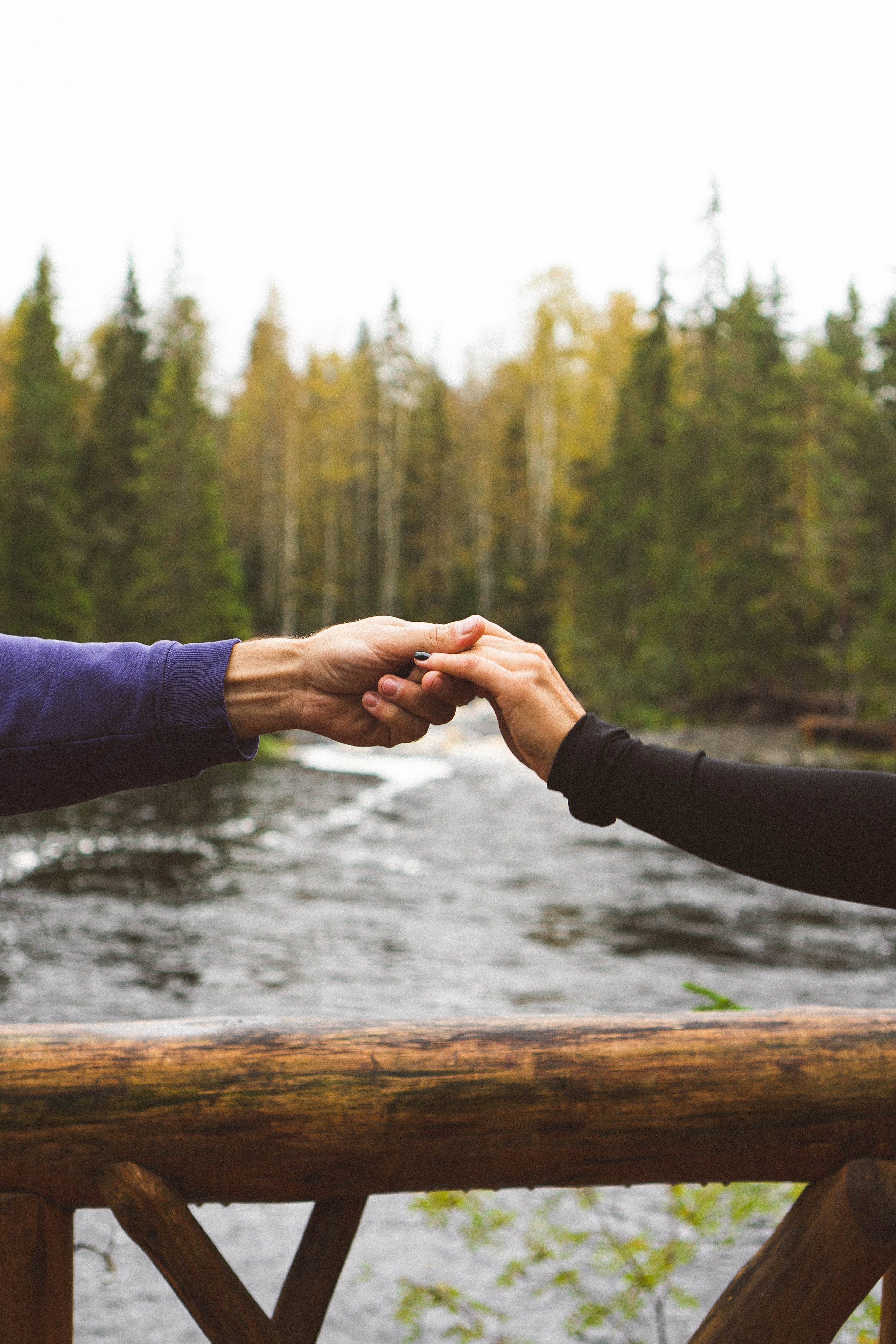 Прогулка на природе. Профессиональный фотограф, Санкт-Петербург — Виктория Богомолова