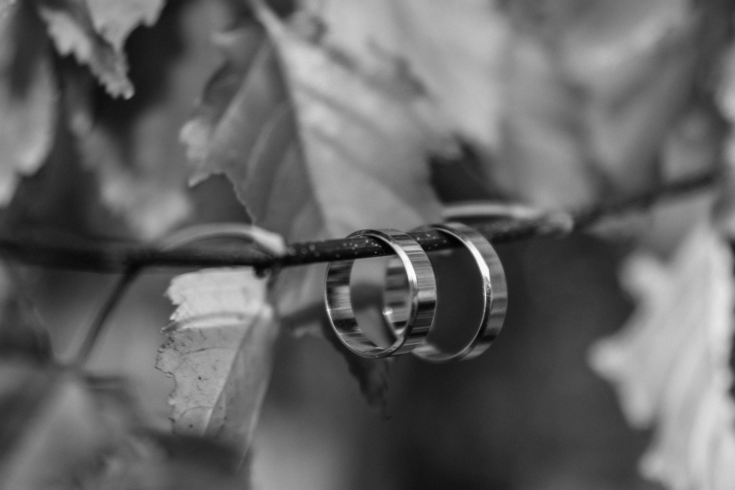 Евгений и Евгения Регистрация и прогулка. Фотограф Юлия Мальцева