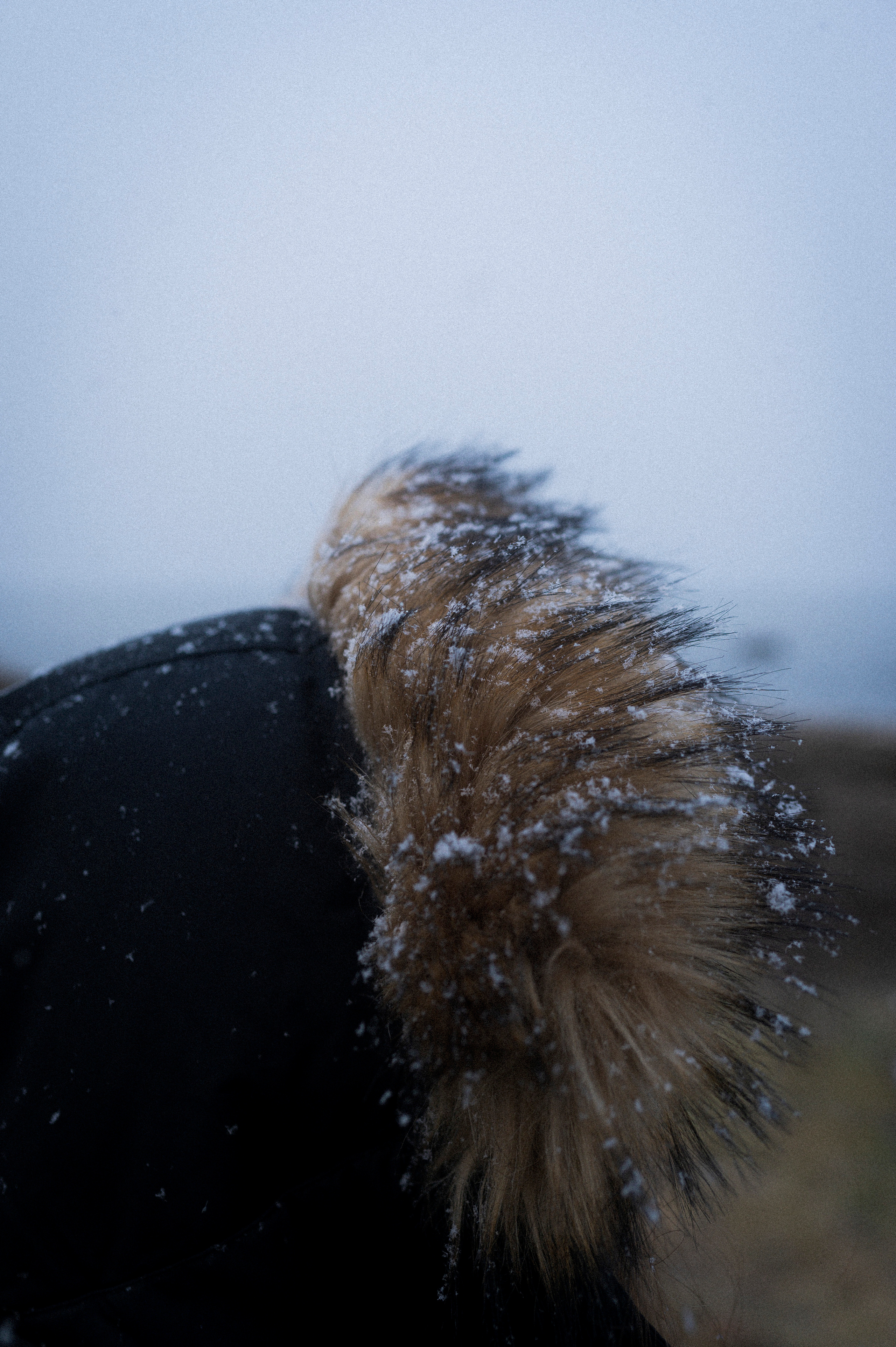 To the northwest of Russia. Kartascheff