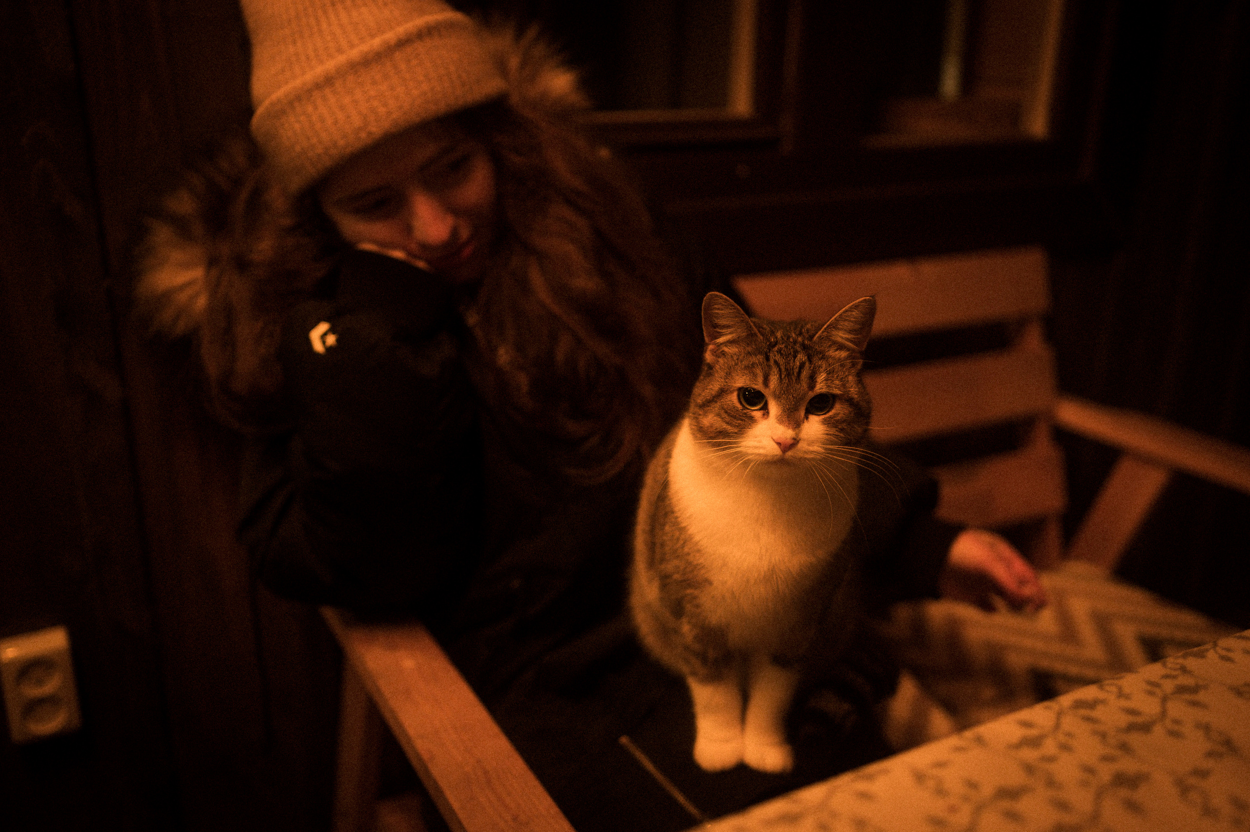Cat feeding, 16.11.22. Kartascheff