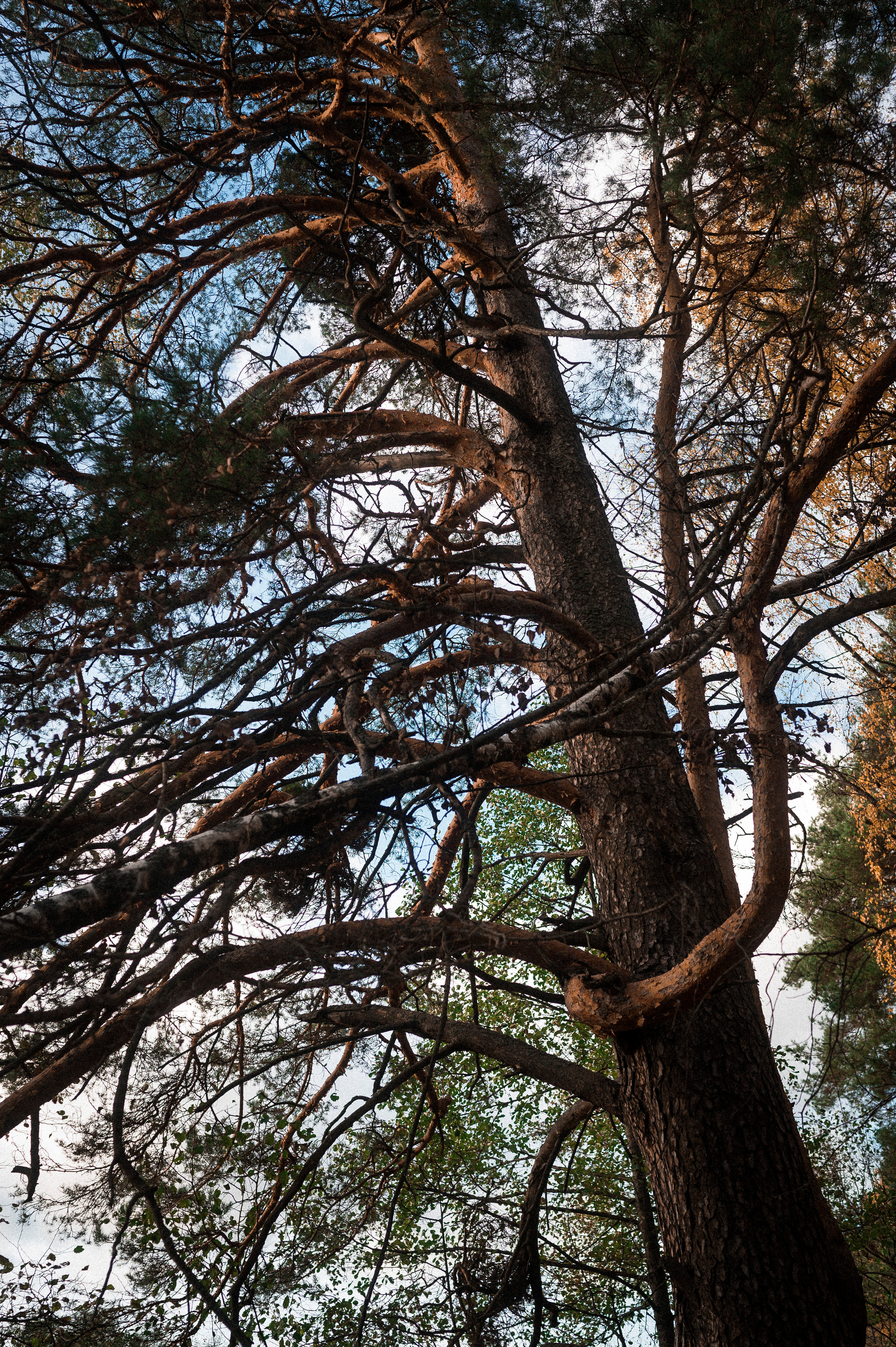 Autumn Trip to Russian towns. Kartascheff