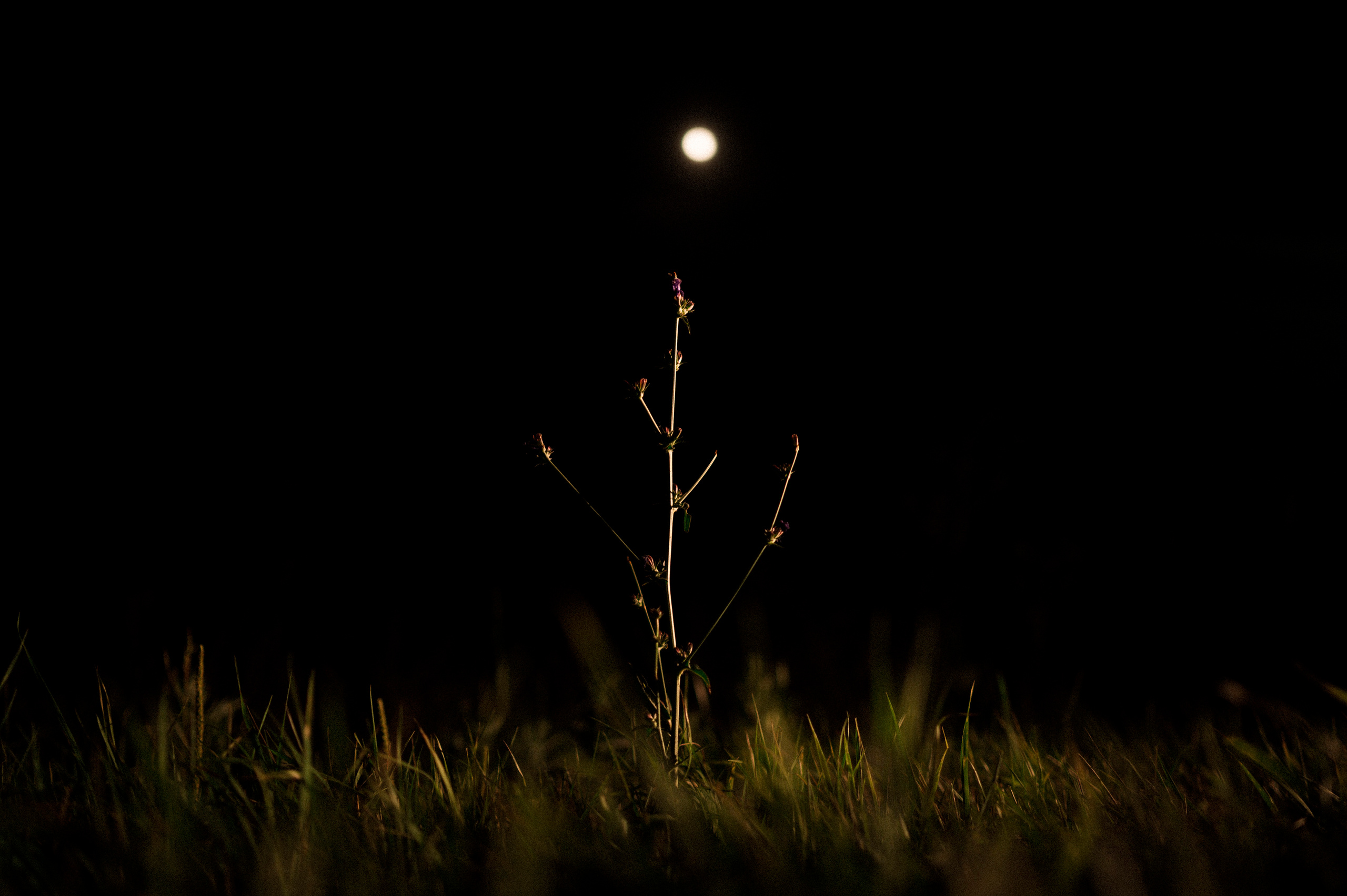 August 2022. Kartascheff