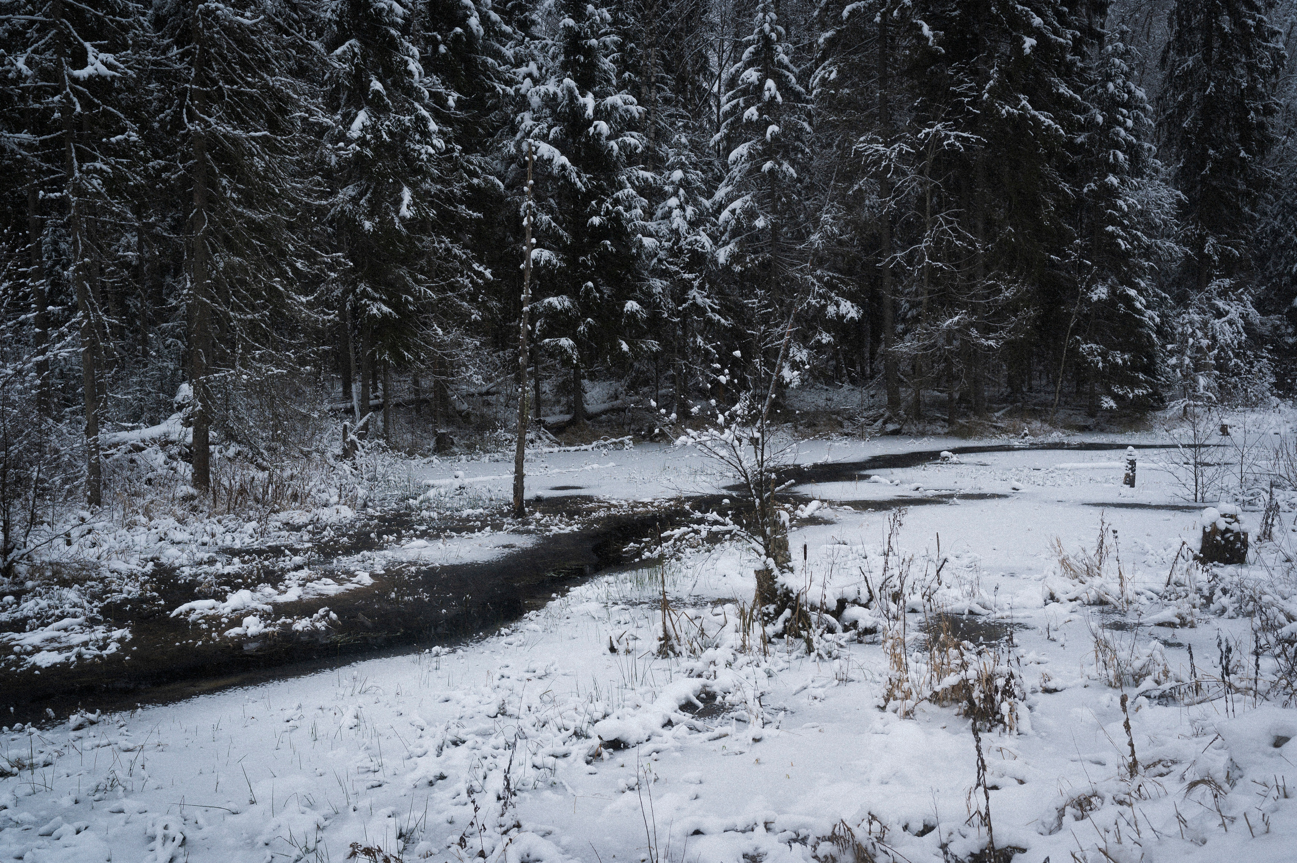 To the northwest of Russia. Kartascheff