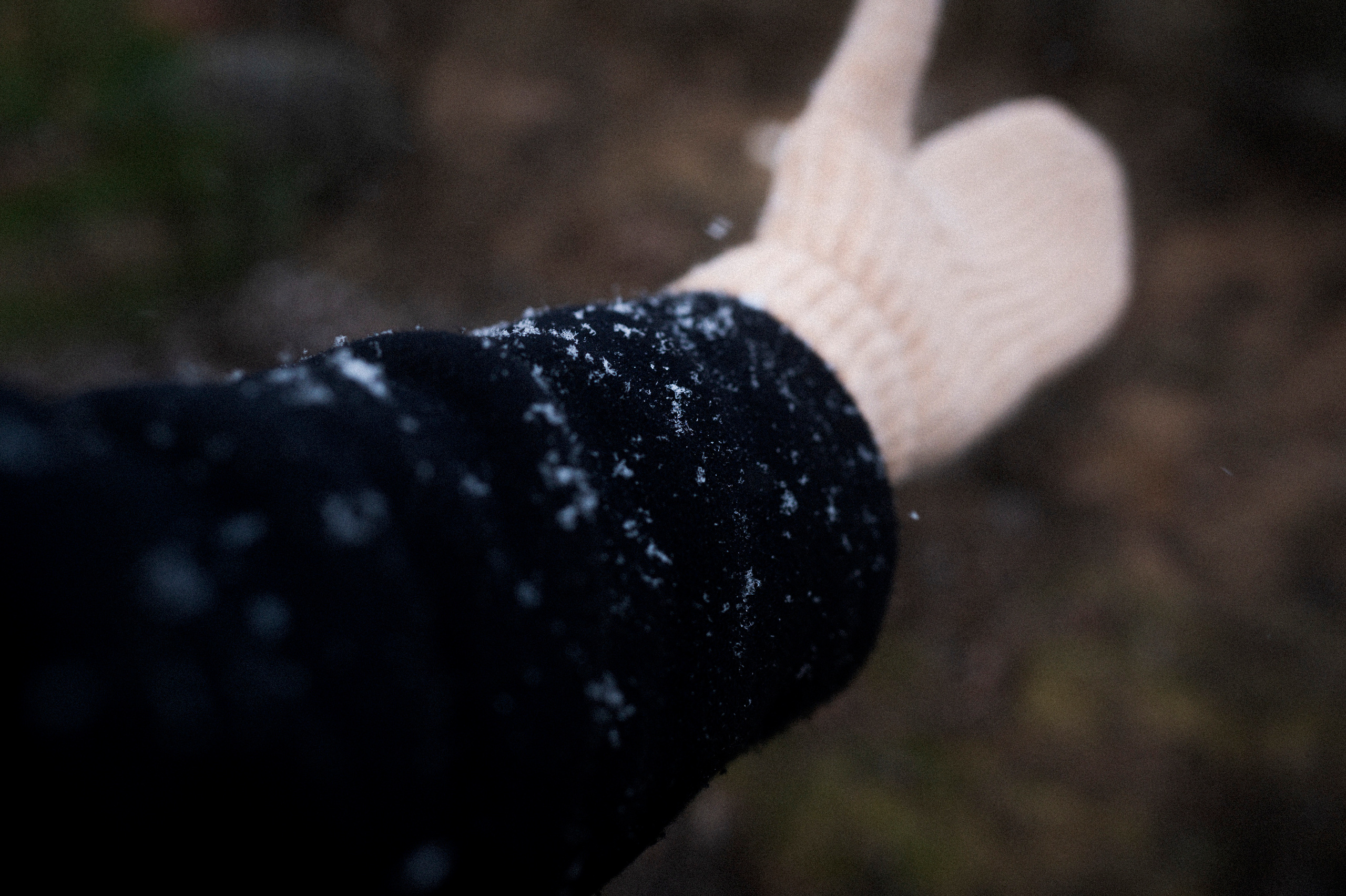 To the northwest of Russia. Kartascheff