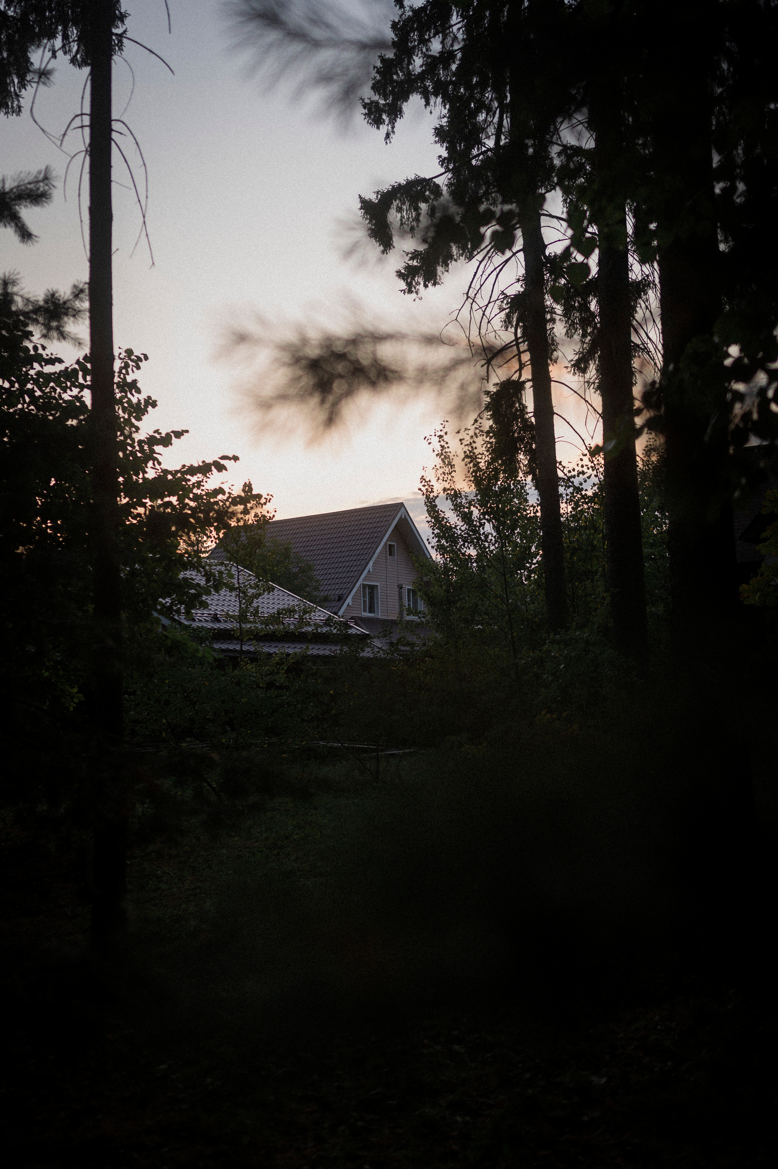 August 2022. Kartascheff