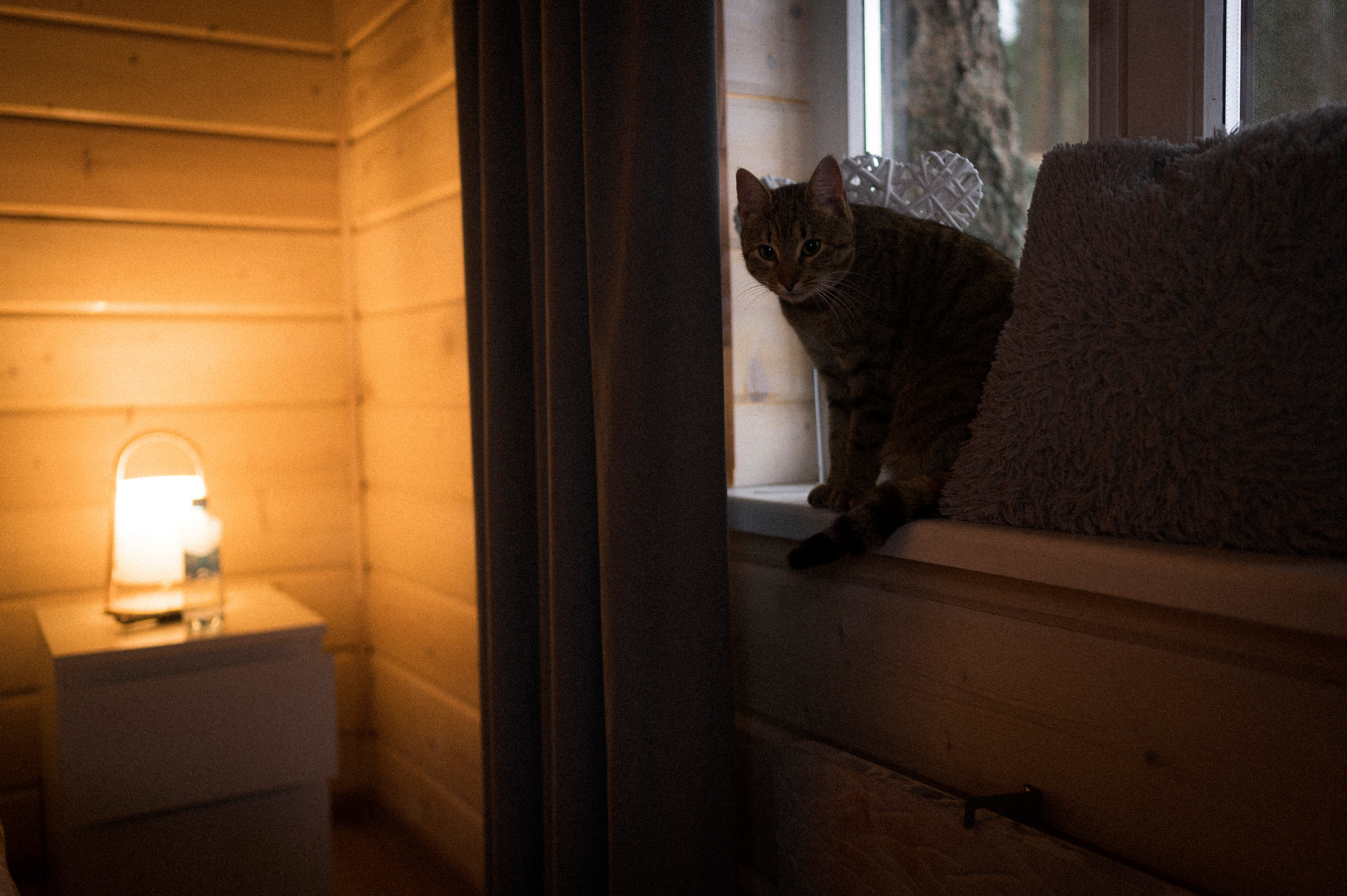 To the northwest of Russia. Kartascheff