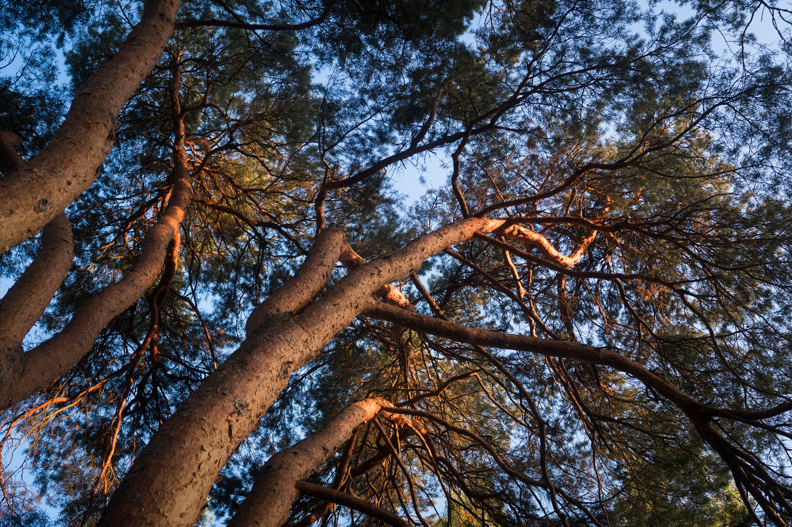 August 2022. Kartascheff