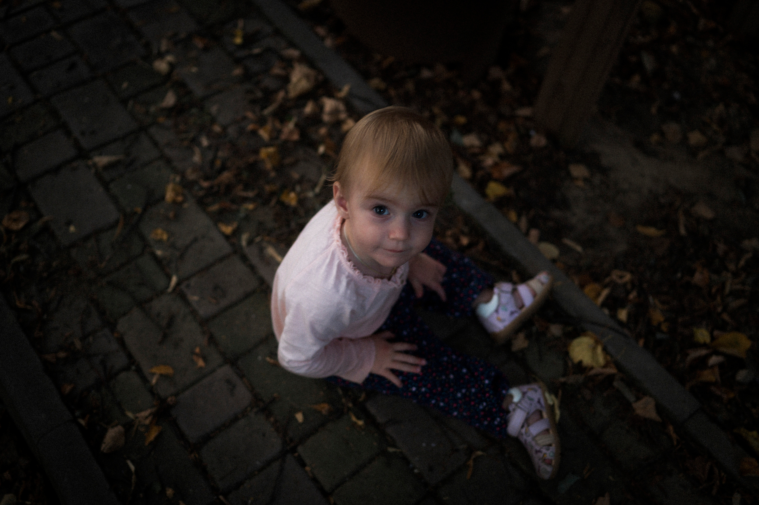 August 2022. Kartascheff