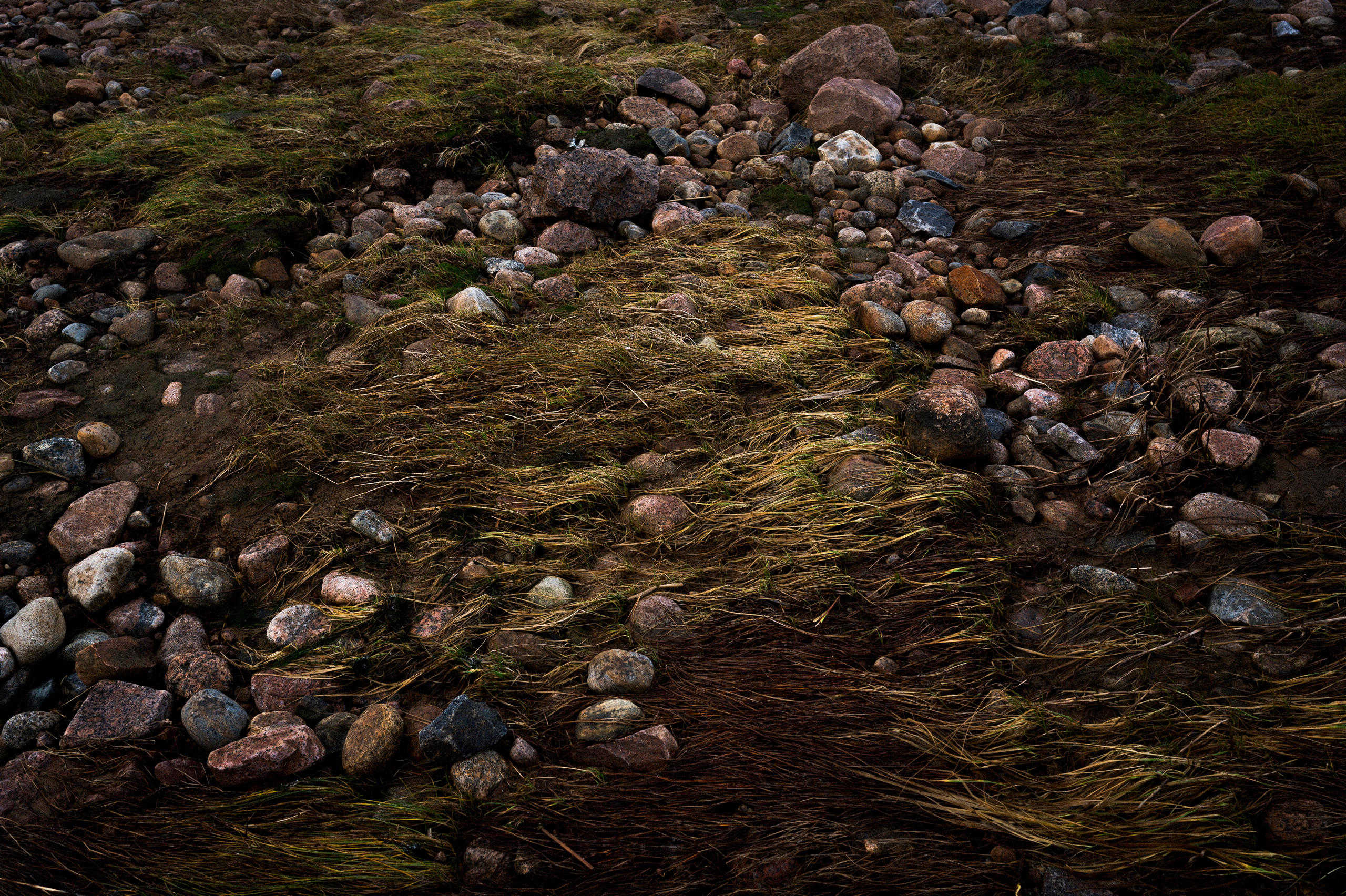 To the northwest of Russia. Kartascheff