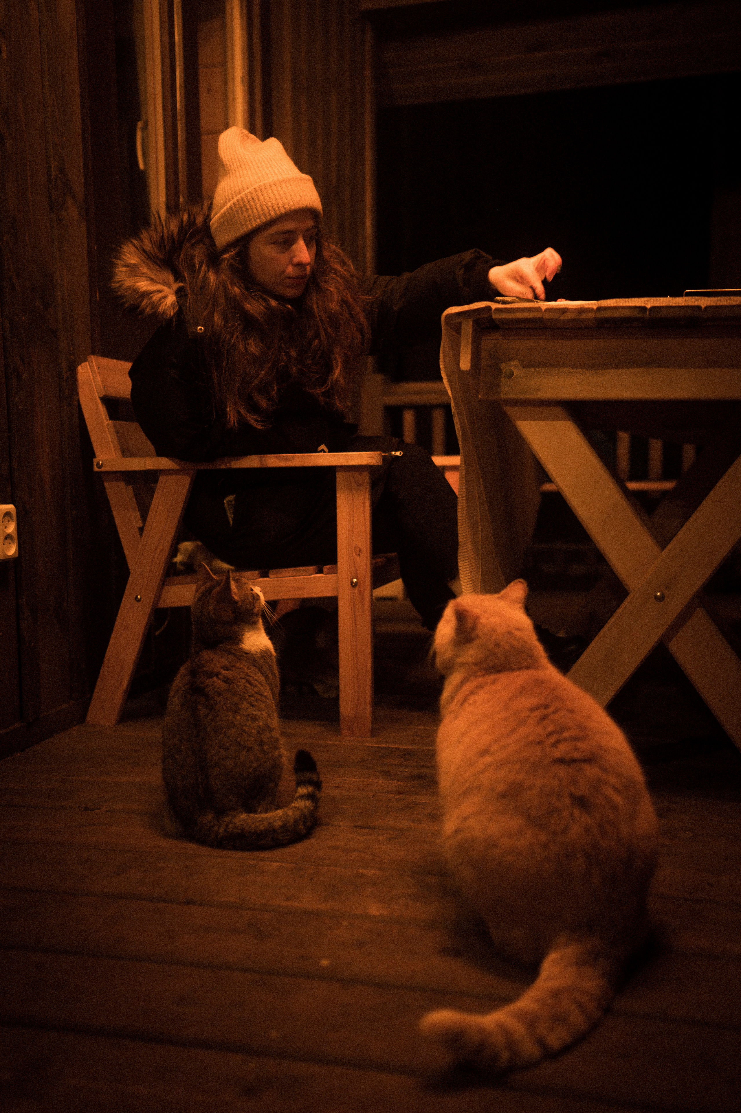 Cat feeding, 16.11.22. Kartascheff