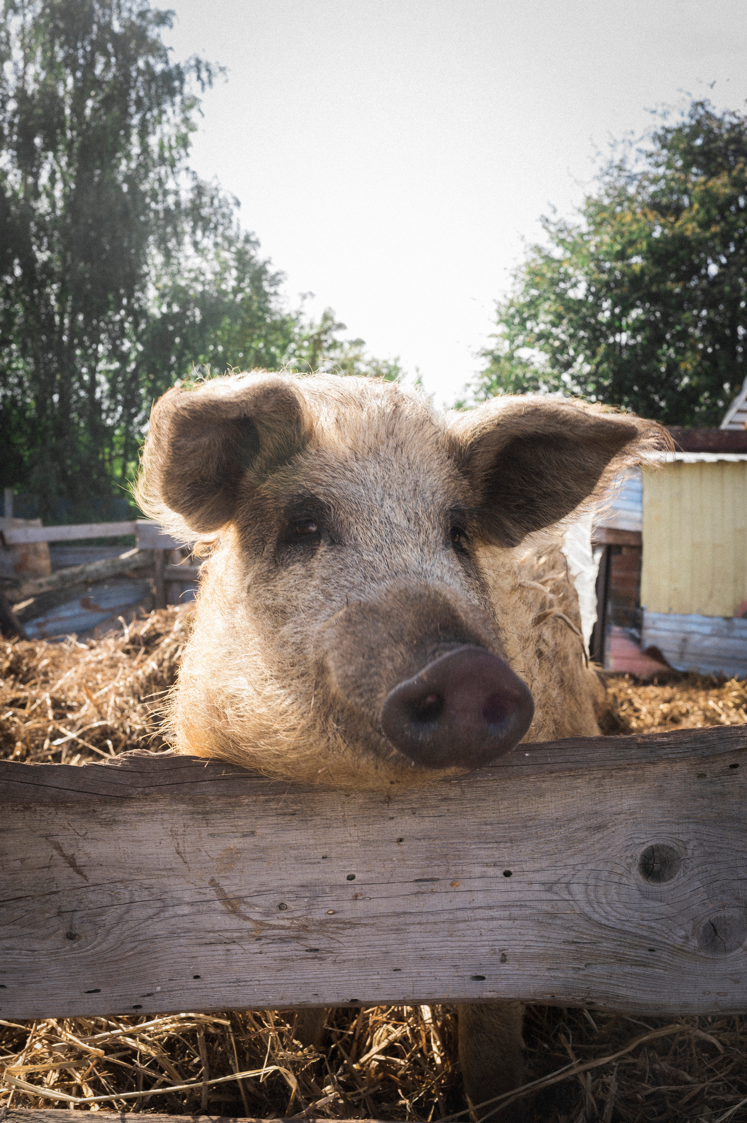 Tovanovo-Tver. Kartascheff