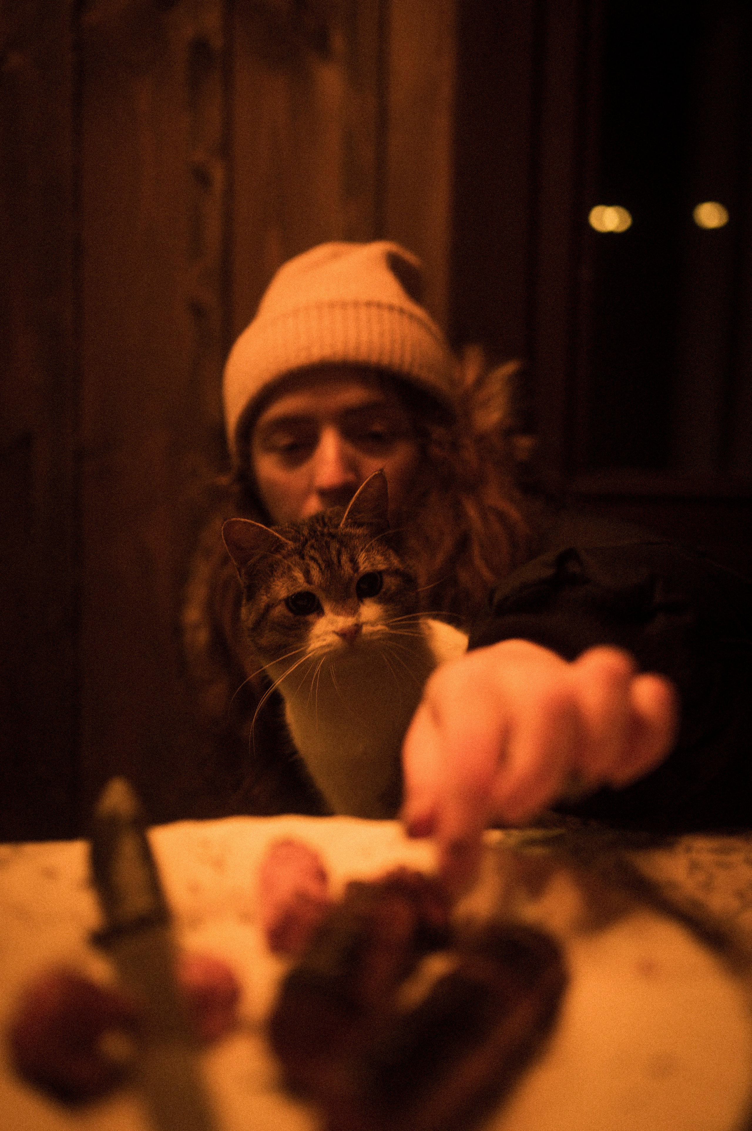 Cat feeding, 16.11.22. Kartascheff