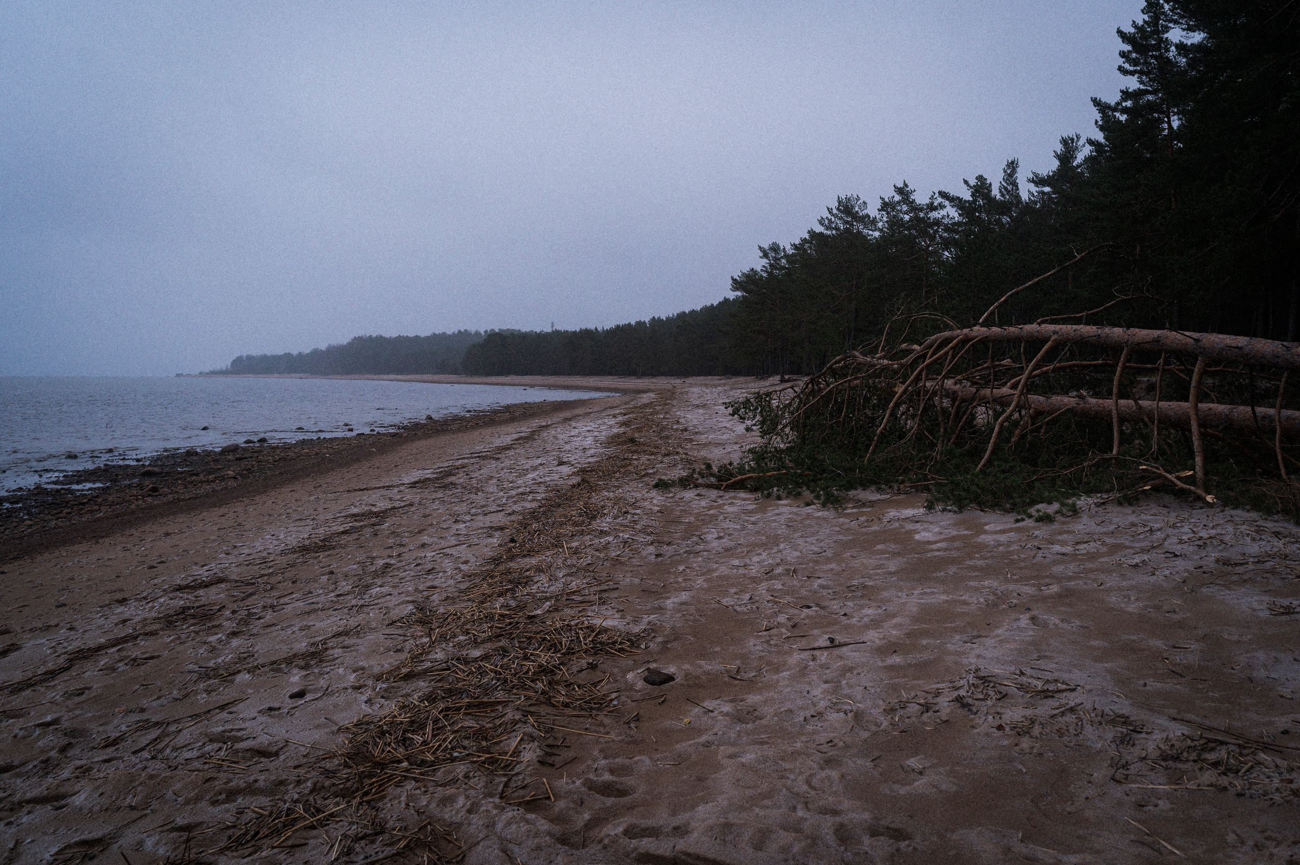 To the northwest of Russia. Kartascheff