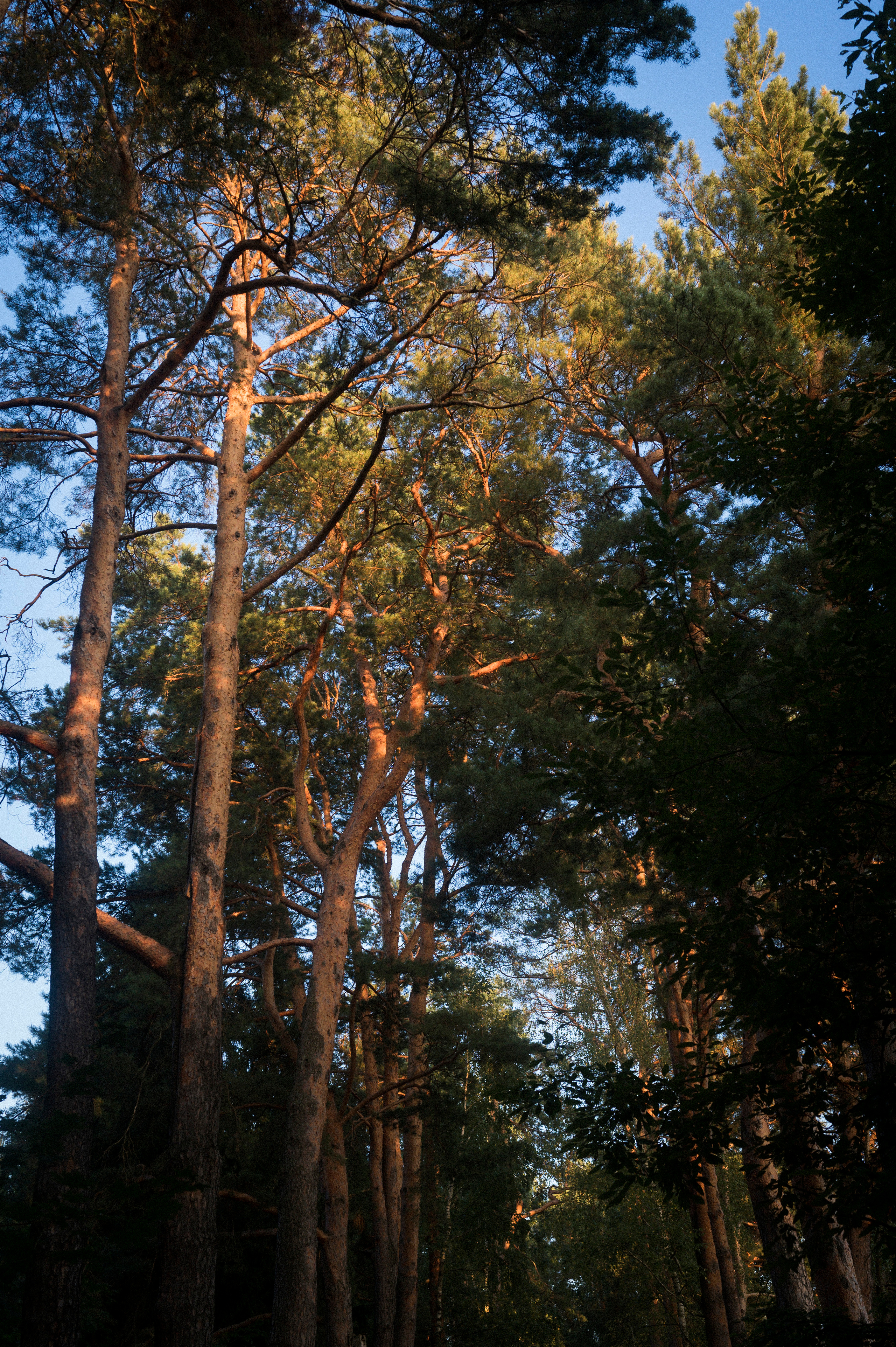 August 2022. Kartascheff