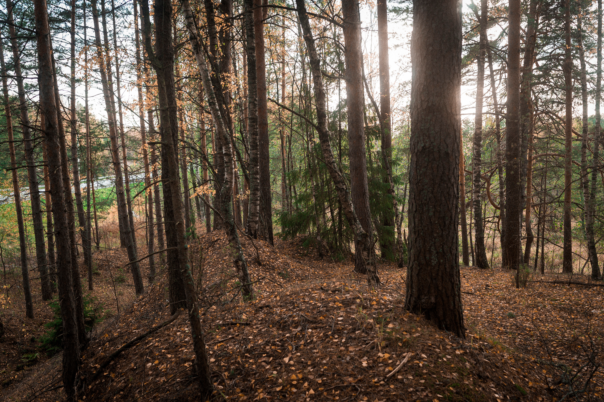 Autumn Trip to Russian towns. Kartascheff