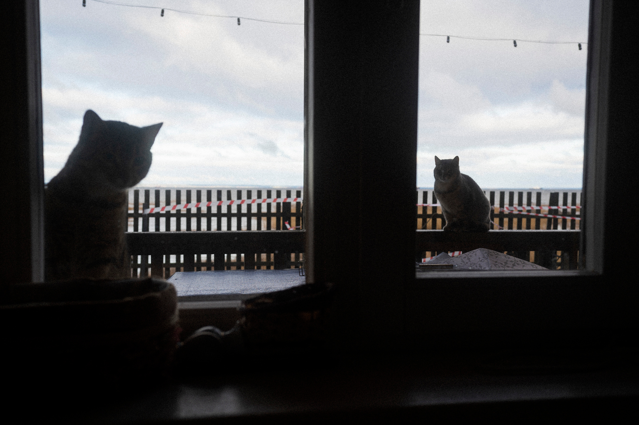 To the northwest of Russia. Kartascheff