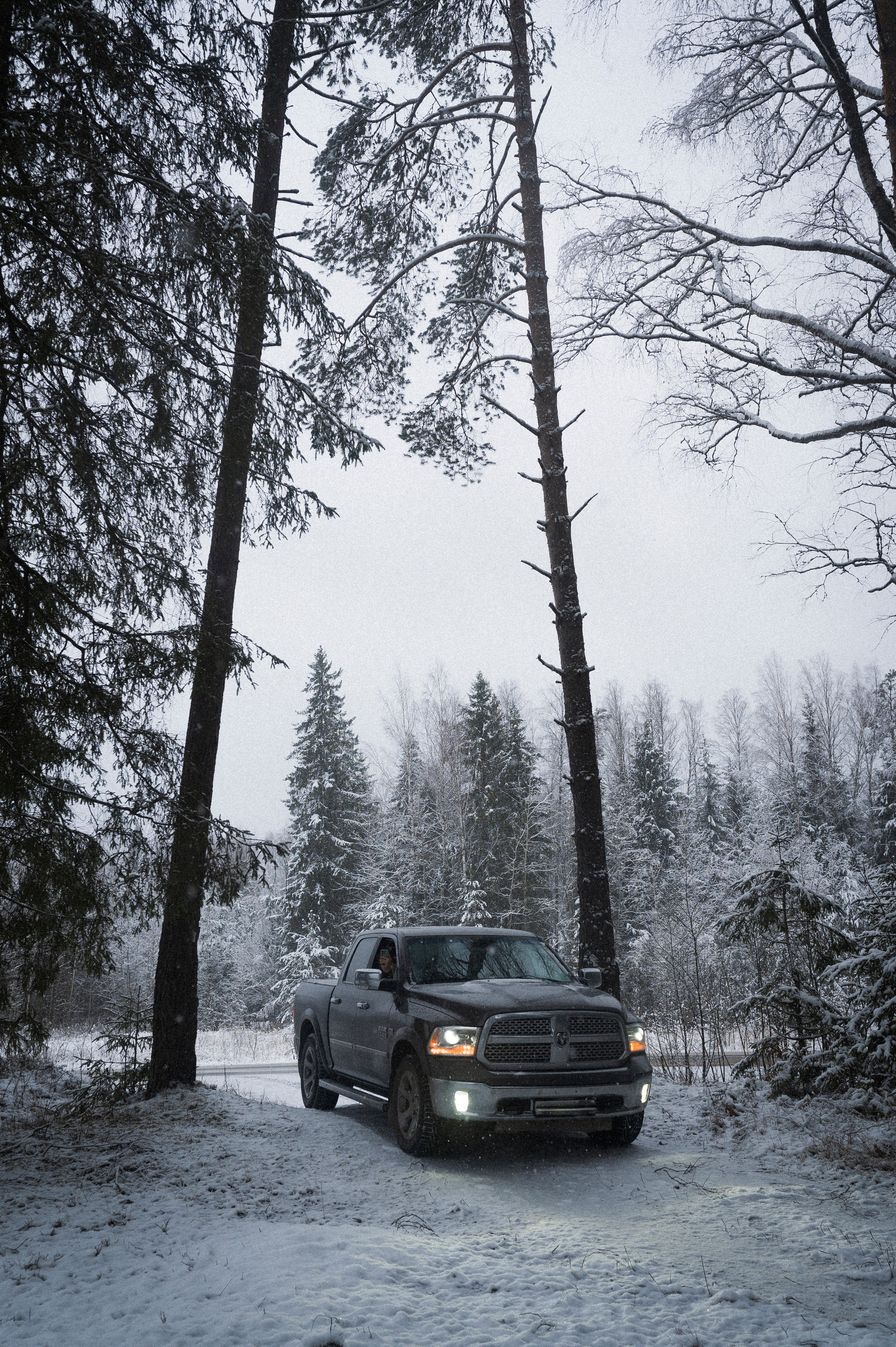 To the northwest of Russia. Kartascheff