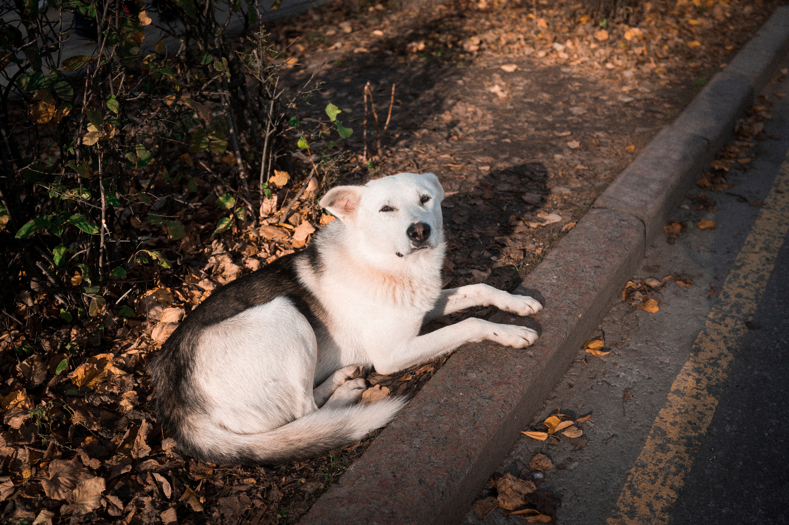 Autumn Trip to Russian towns. Kartascheff