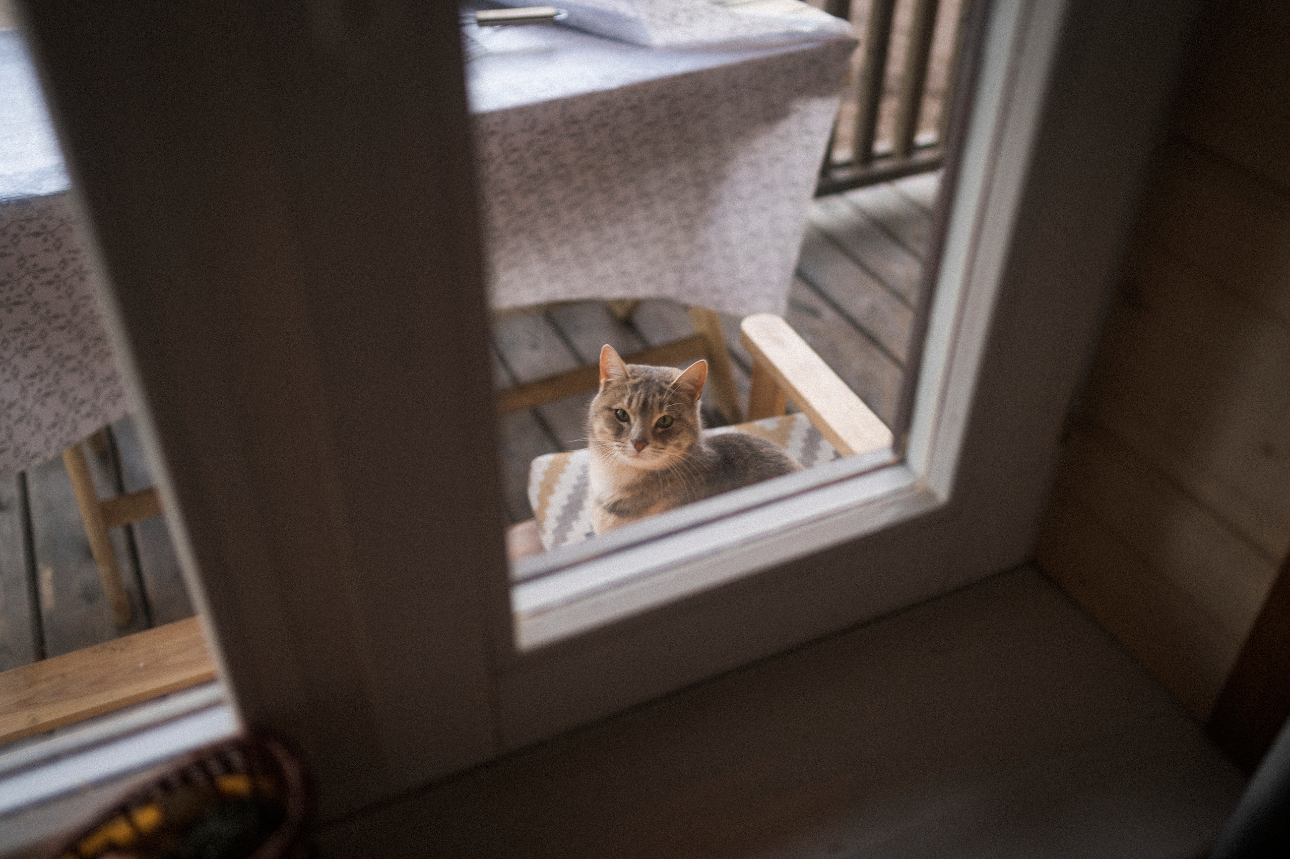 To the northwest of Russia. Kartascheff