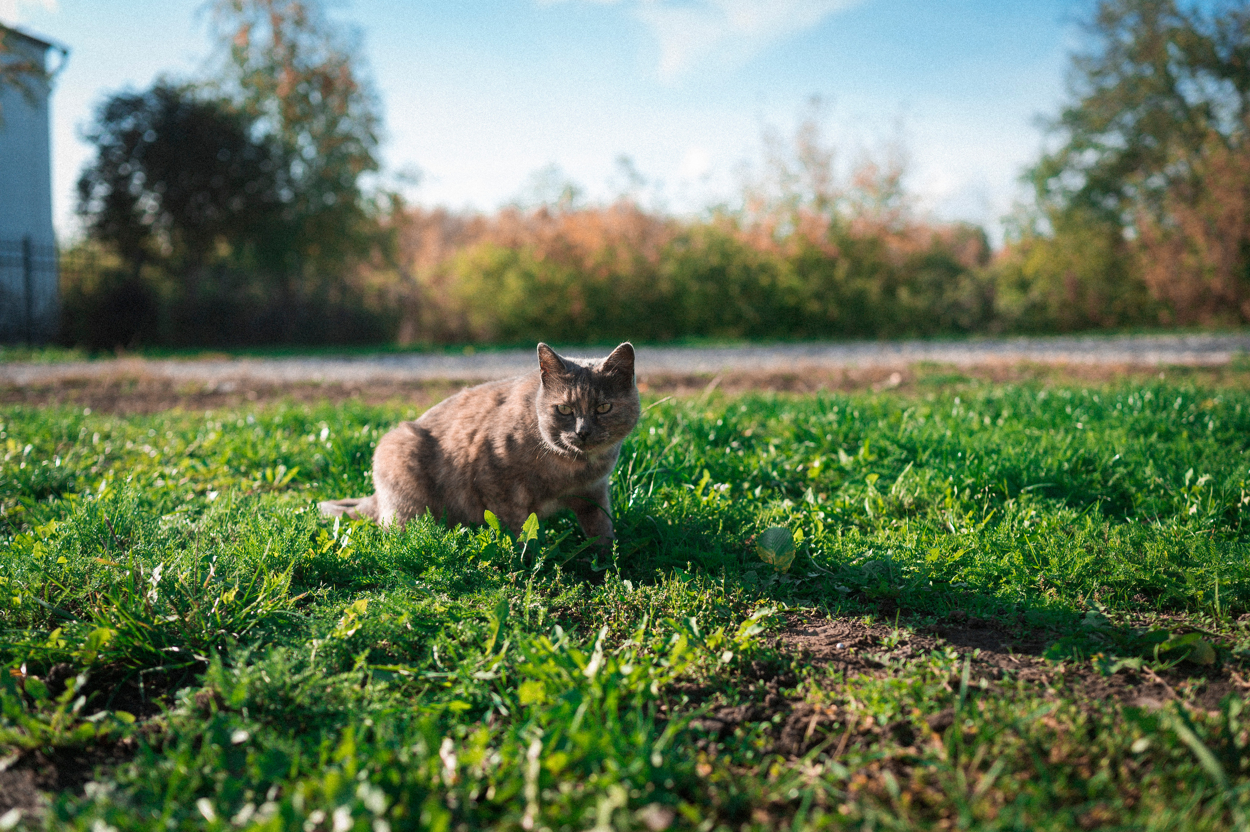 Autumn Trip to Russian towns. Kartascheff