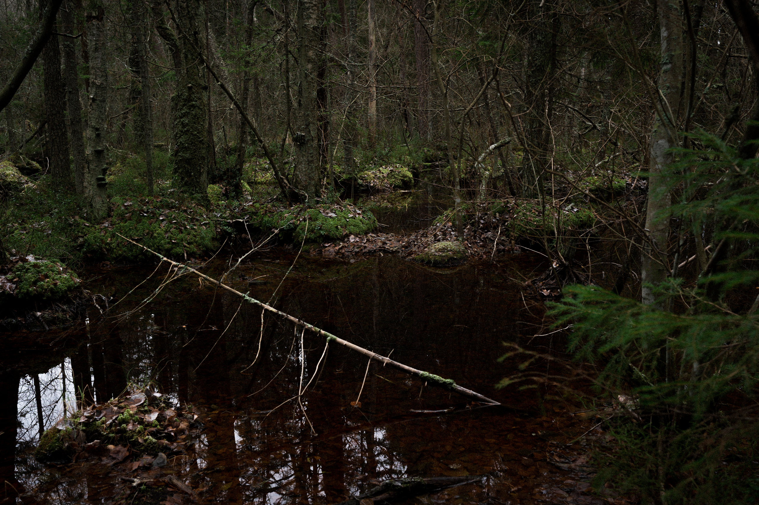 To the northwest of Russia. Kartascheff