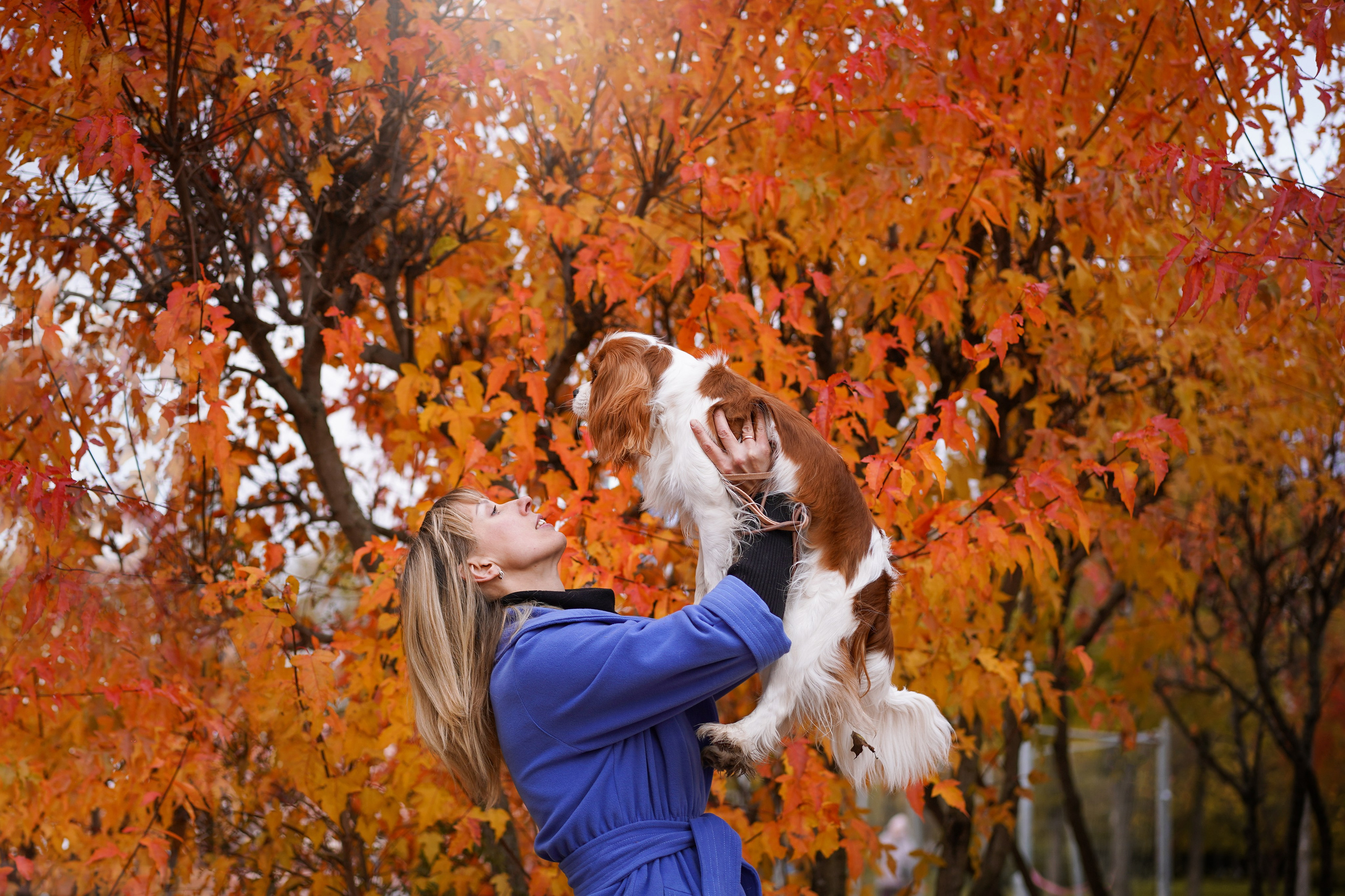 Катя Валера Саша и кавалерчики. Фотограф-анималист в Санкт-Петербурге Яна Мартынова