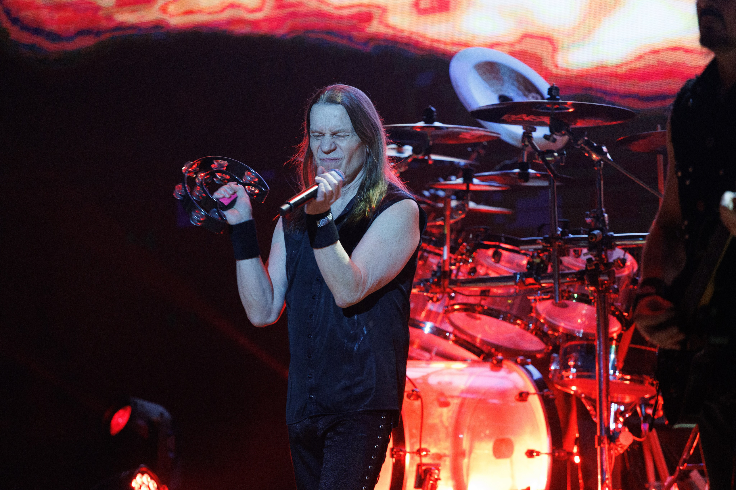 «КИПЕЛОВ». Photomantis