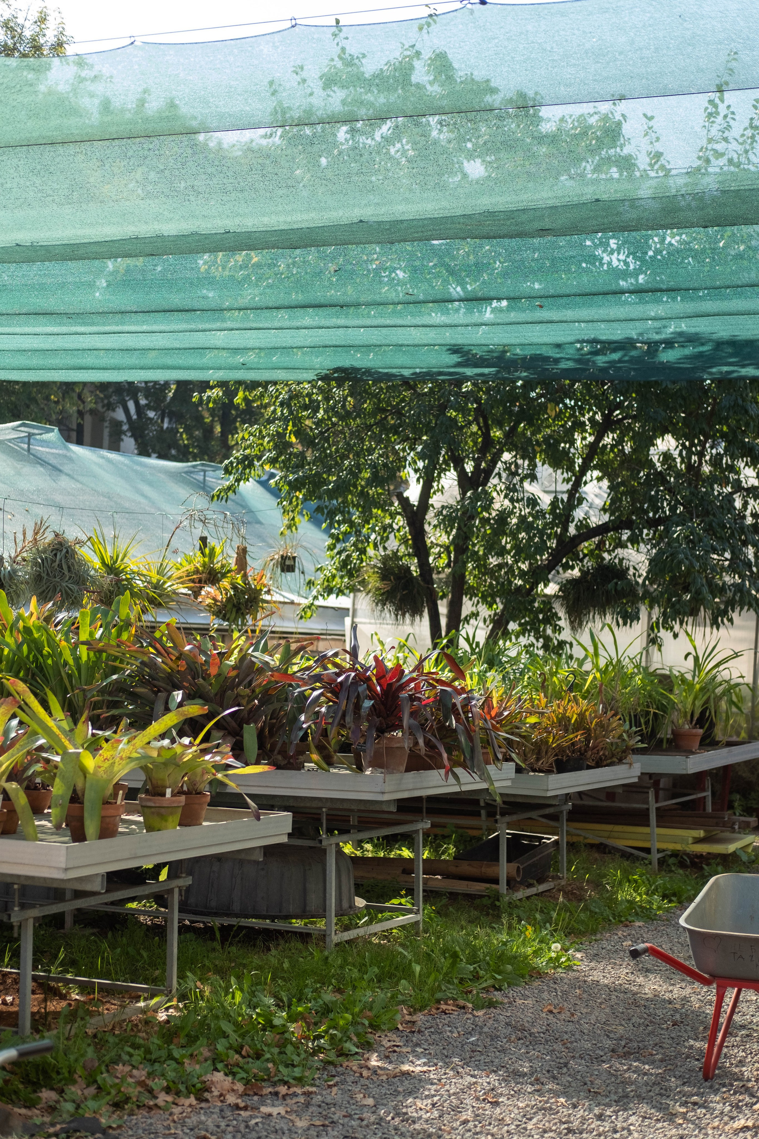 Москва 2024. Свадебный и семейный фотограф в Новосибирске, Санкт-Петербурге, Москве